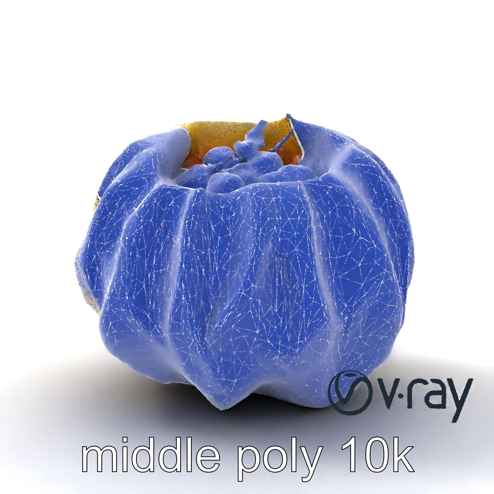 Seashell Pelmeni Geometric Food Model Pack Low-poly 3D model_16