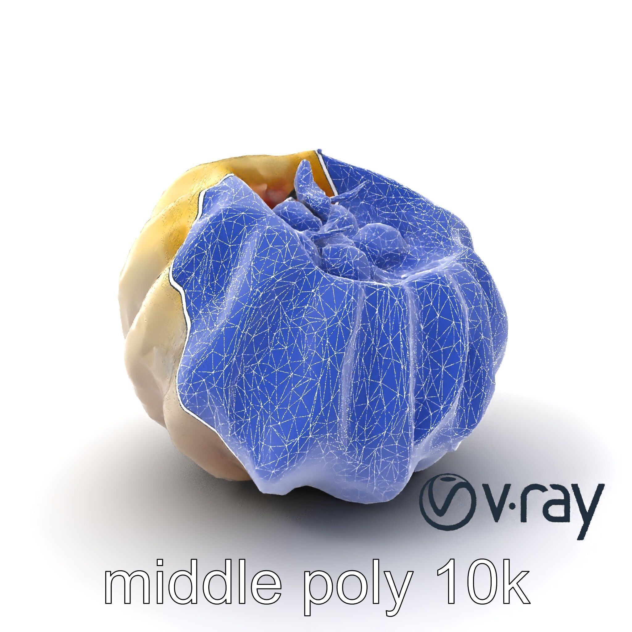 Seashell Pelmeni Geometric Food Model Pack Low-poly 3D model_5