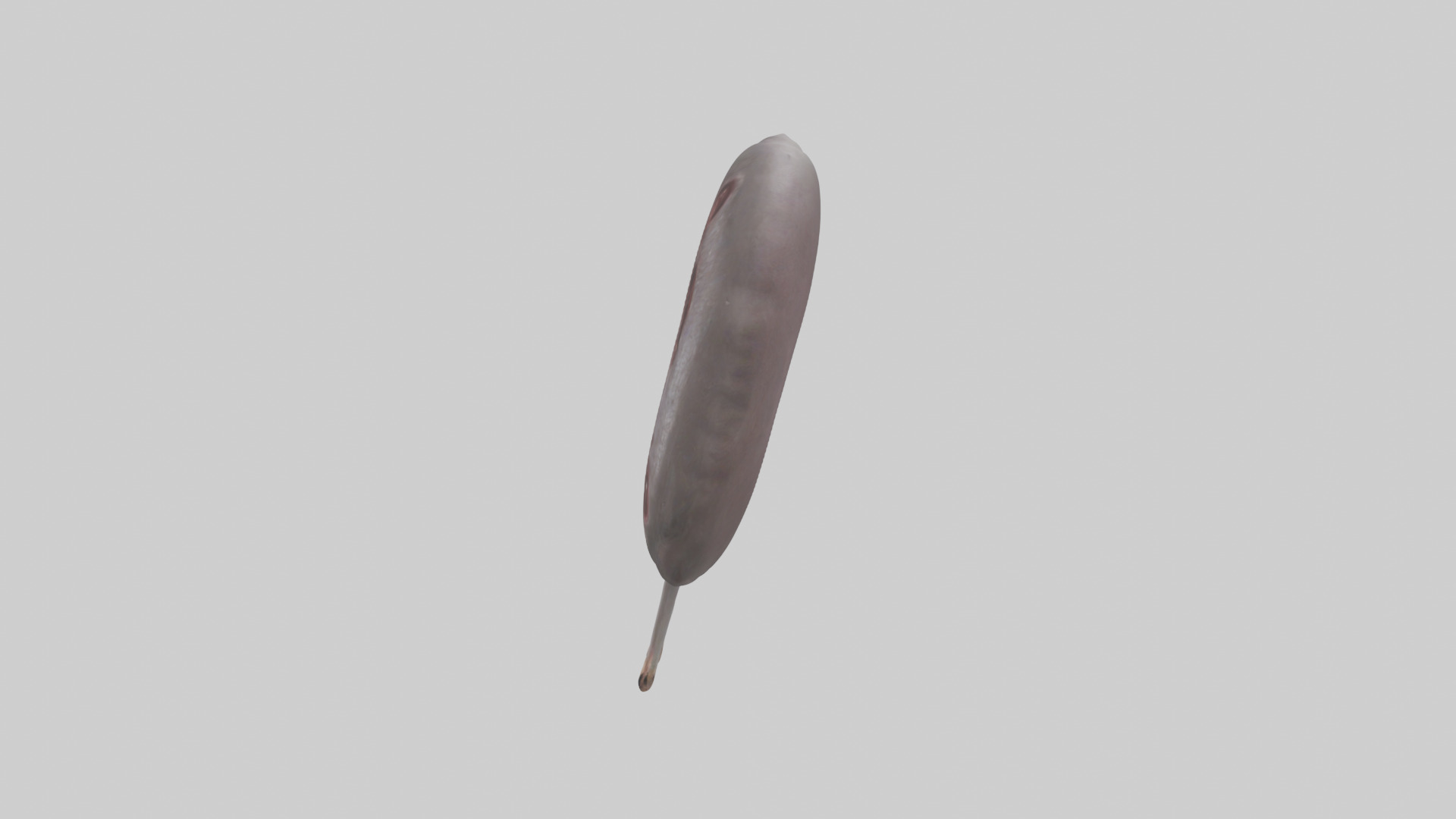 Hippo Kidneys Low-poly 3D model_12