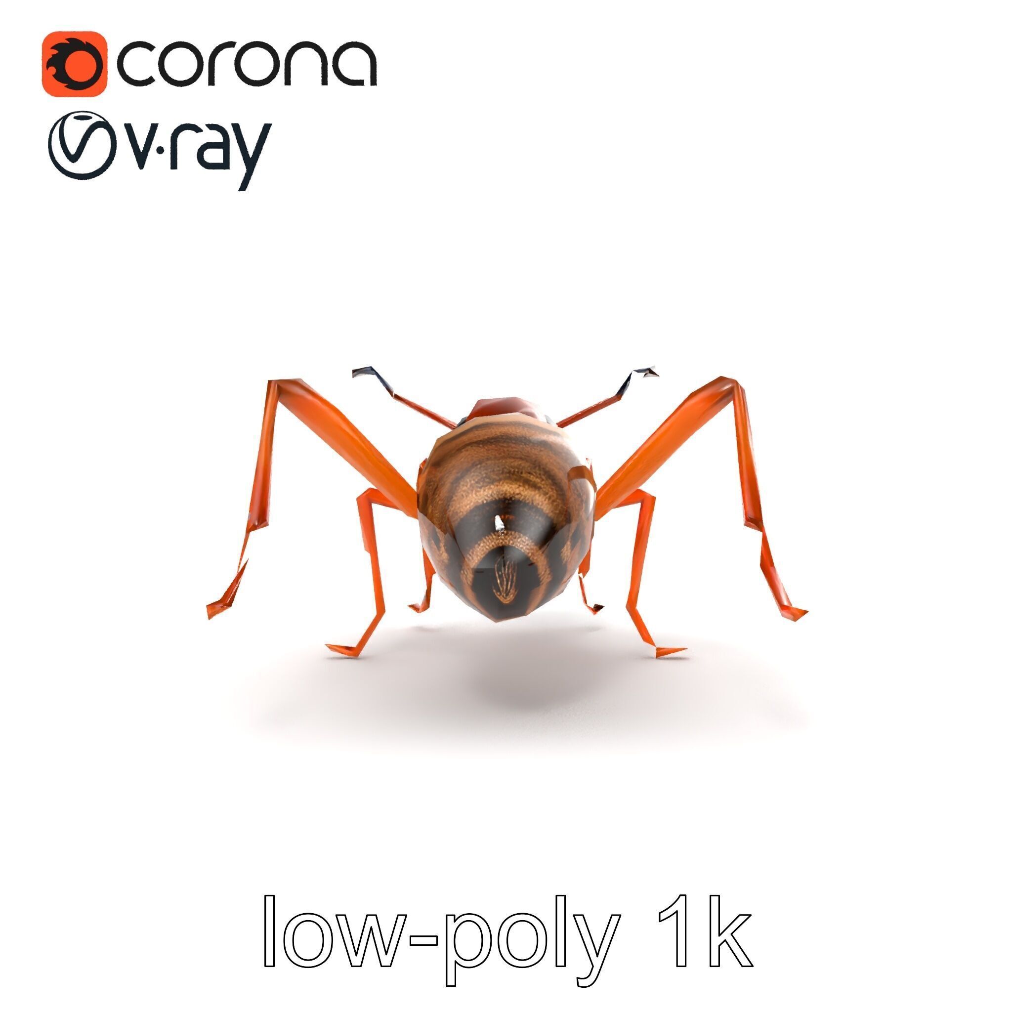 Desert Ant Golden Brown model pack Low-poly 3D model_20