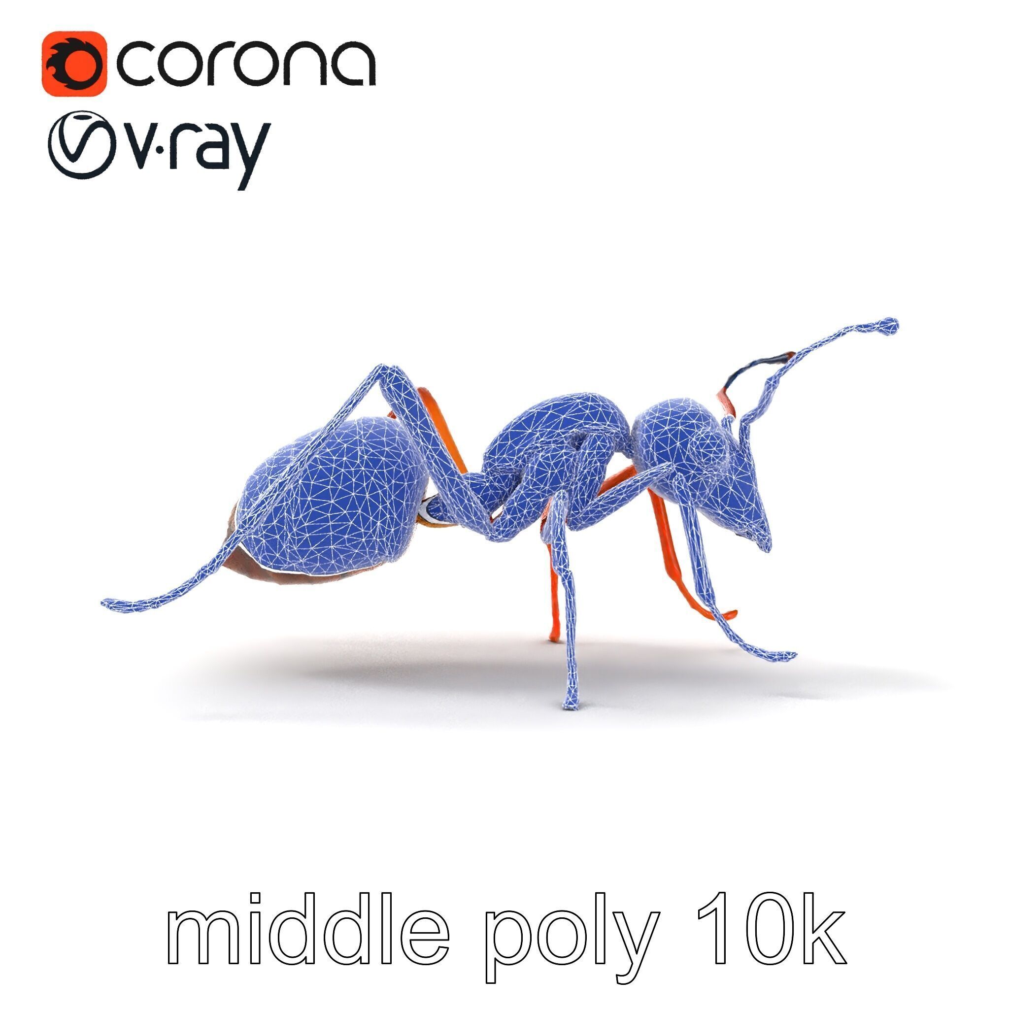 Desert Ant Golden Brown model pack Low-poly 3D model_15