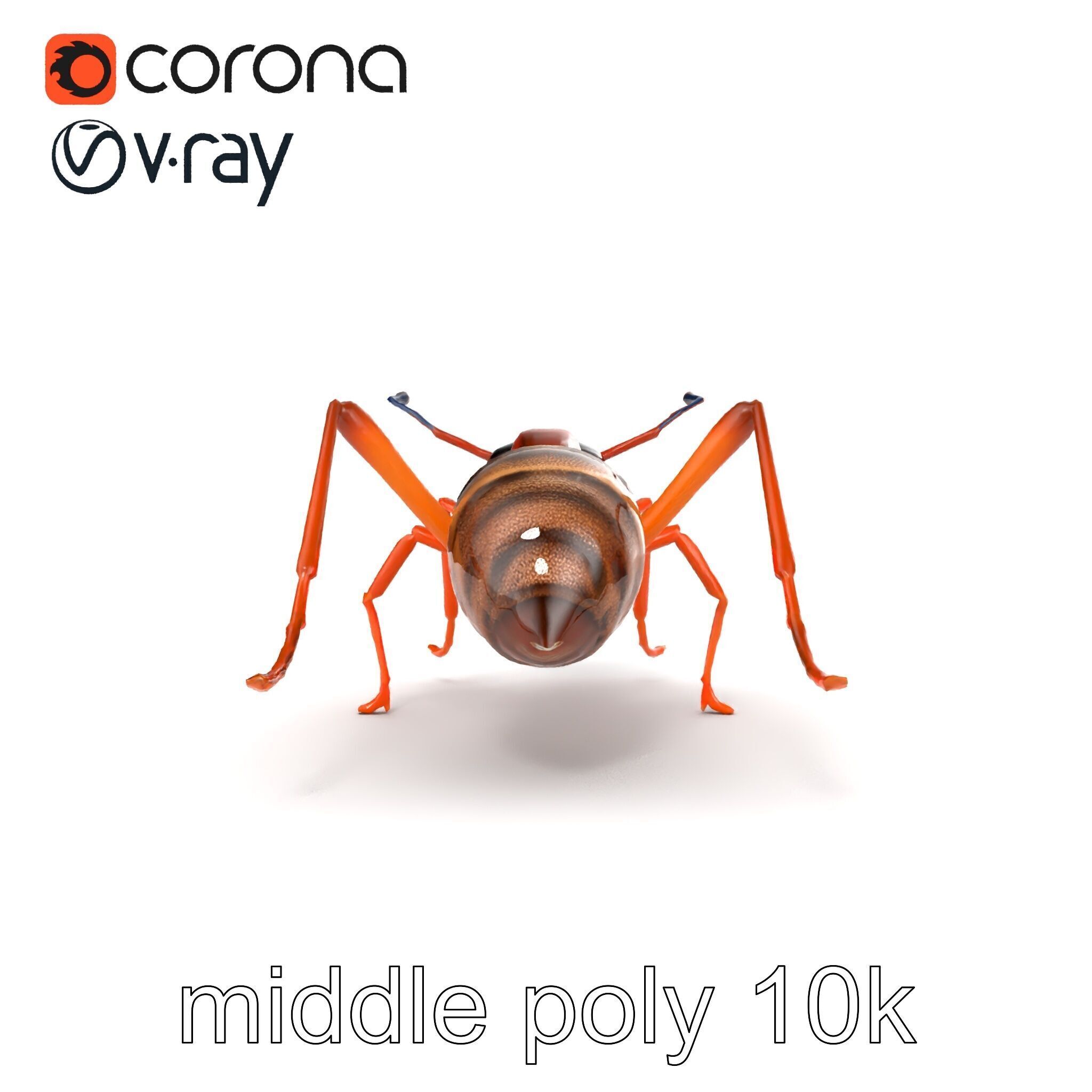 Desert Ant Golden Brown model pack Low-poly 3D model_23