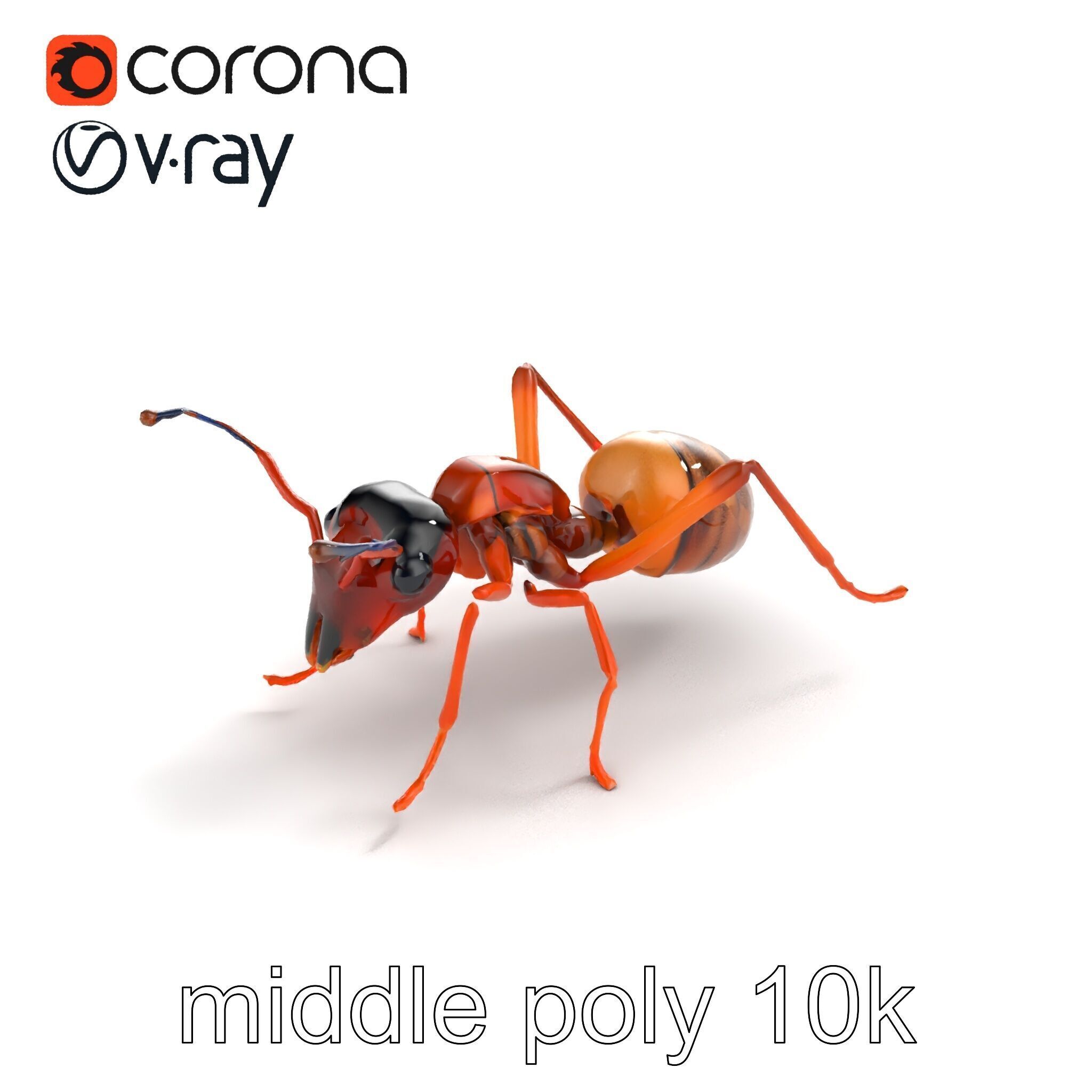 Desert Ant Golden Brown model pack Low-poly 3D model_7