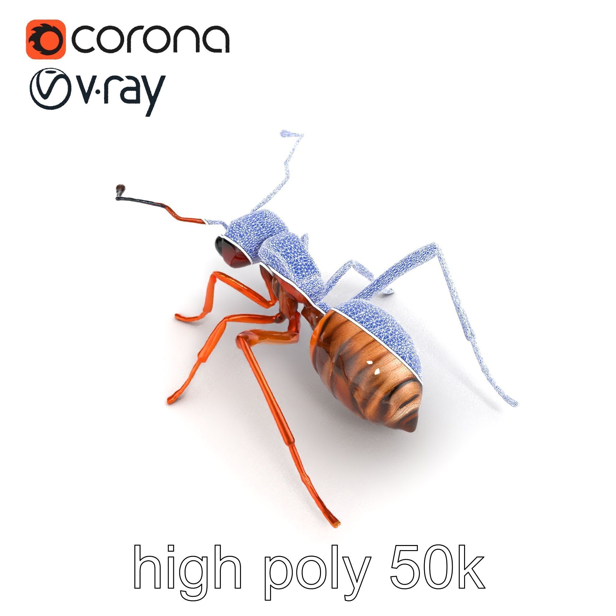Desert Ant Golden Brown model pack Low-poly 3D model_13