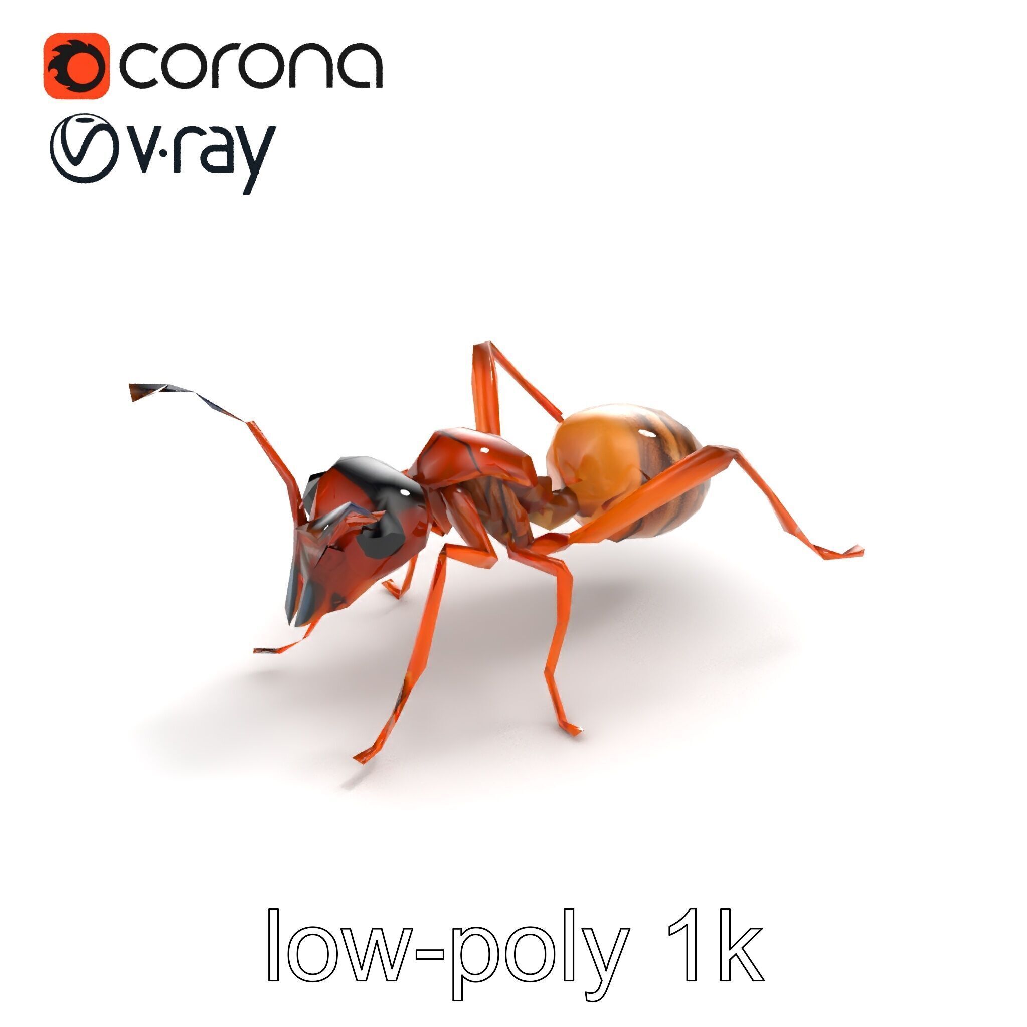 Desert Ant Golden Brown model pack Low-poly 3D model_8