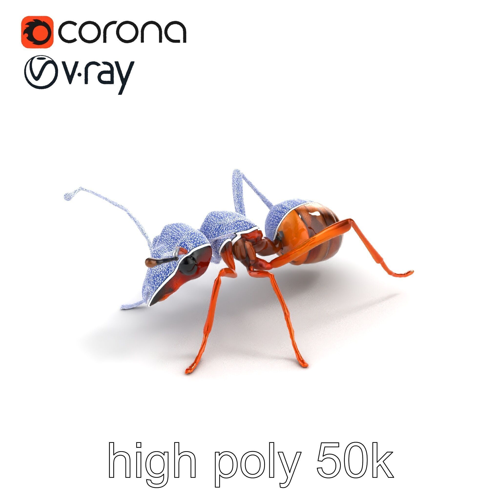 Desert Ant Golden Brown model pack Low-poly 3D model_30