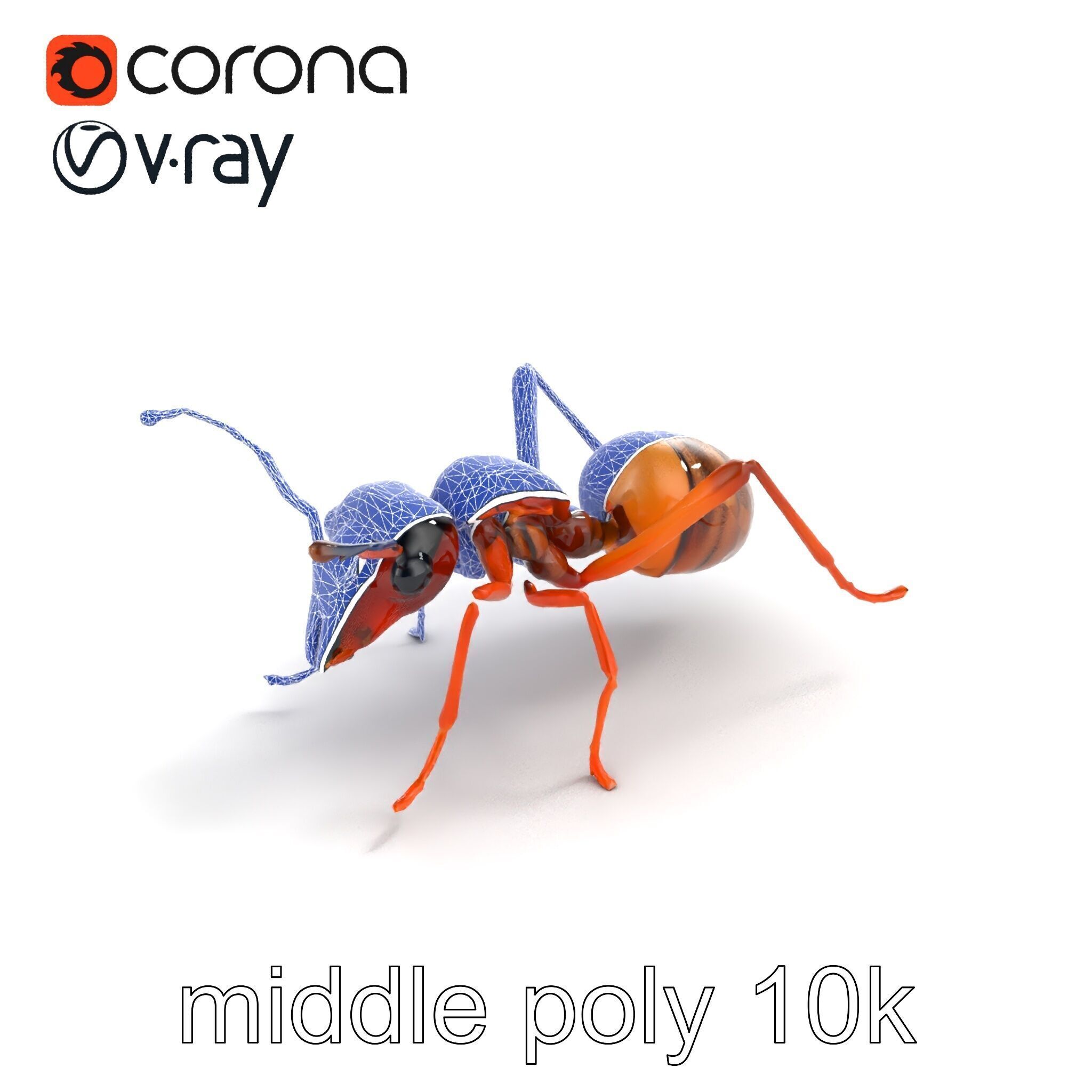 Desert Ant Golden Brown model pack Low-poly 3D model_19