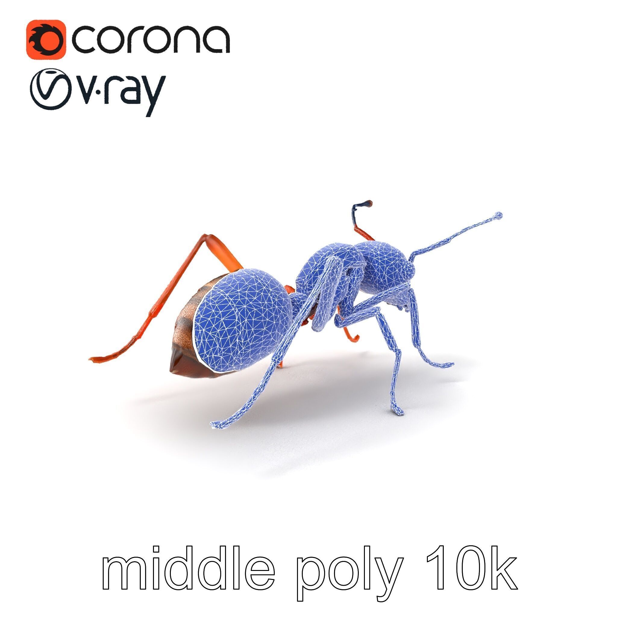 Desert Ant Golden Brown model pack Low-poly 3D model_5