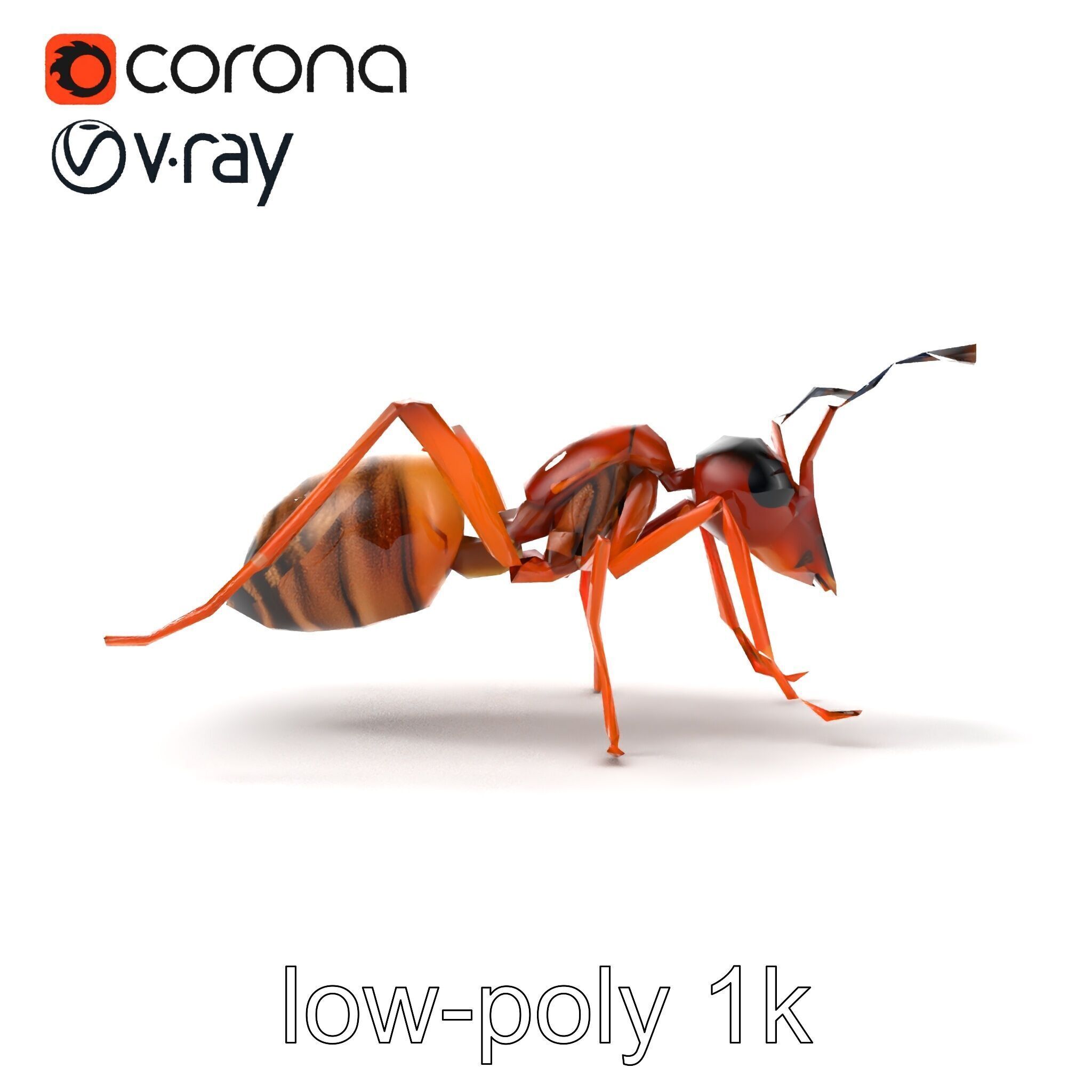 Desert Ant Golden Brown model pack Low-poly 3D model_22