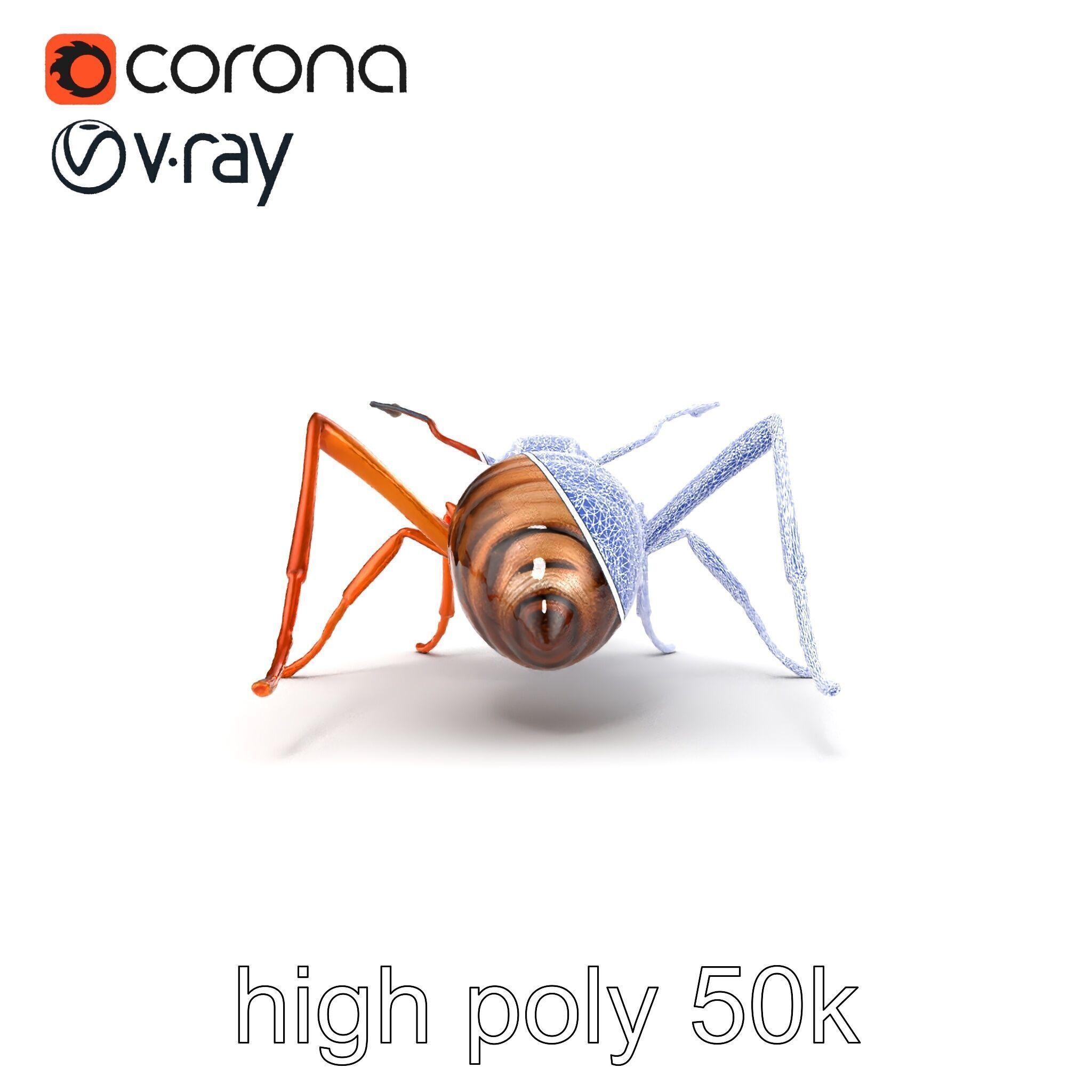 Desert Ant Golden Brown model pack Low-poly 3D model_11