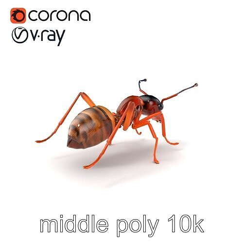 Desert Ant Golden Brown model pack Low-poly 3D model
