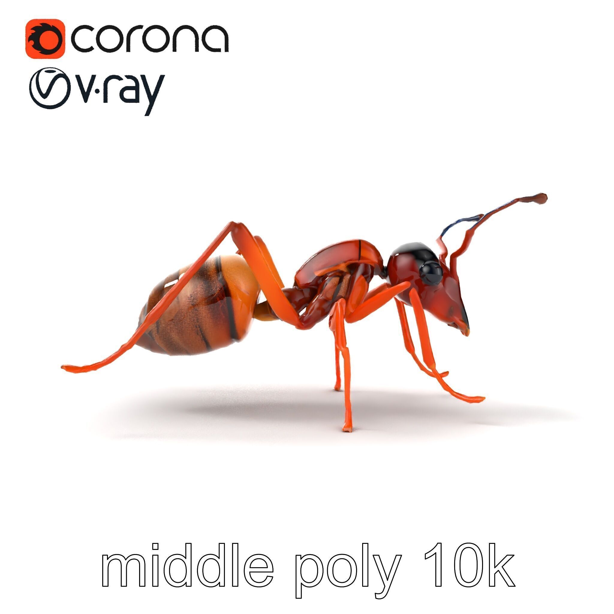 Desert Ant Golden Brown model pack Low-poly 3D model_27