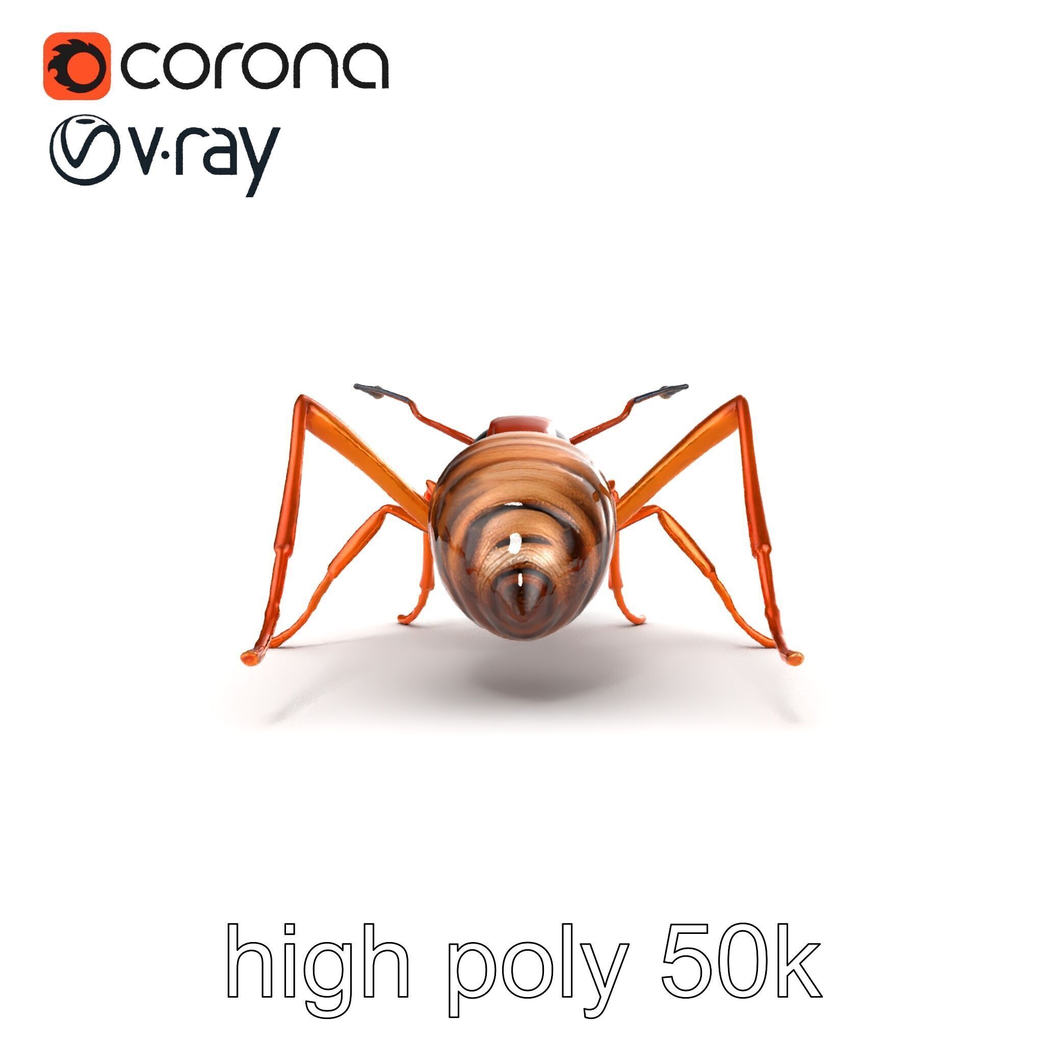 Desert Ant Golden Brown model pack Low-poly 3D model_16