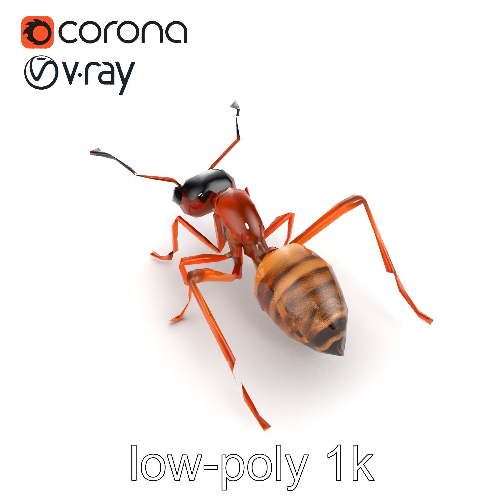 Desert Ant Golden Brown model pack Low-poly 3D model_21