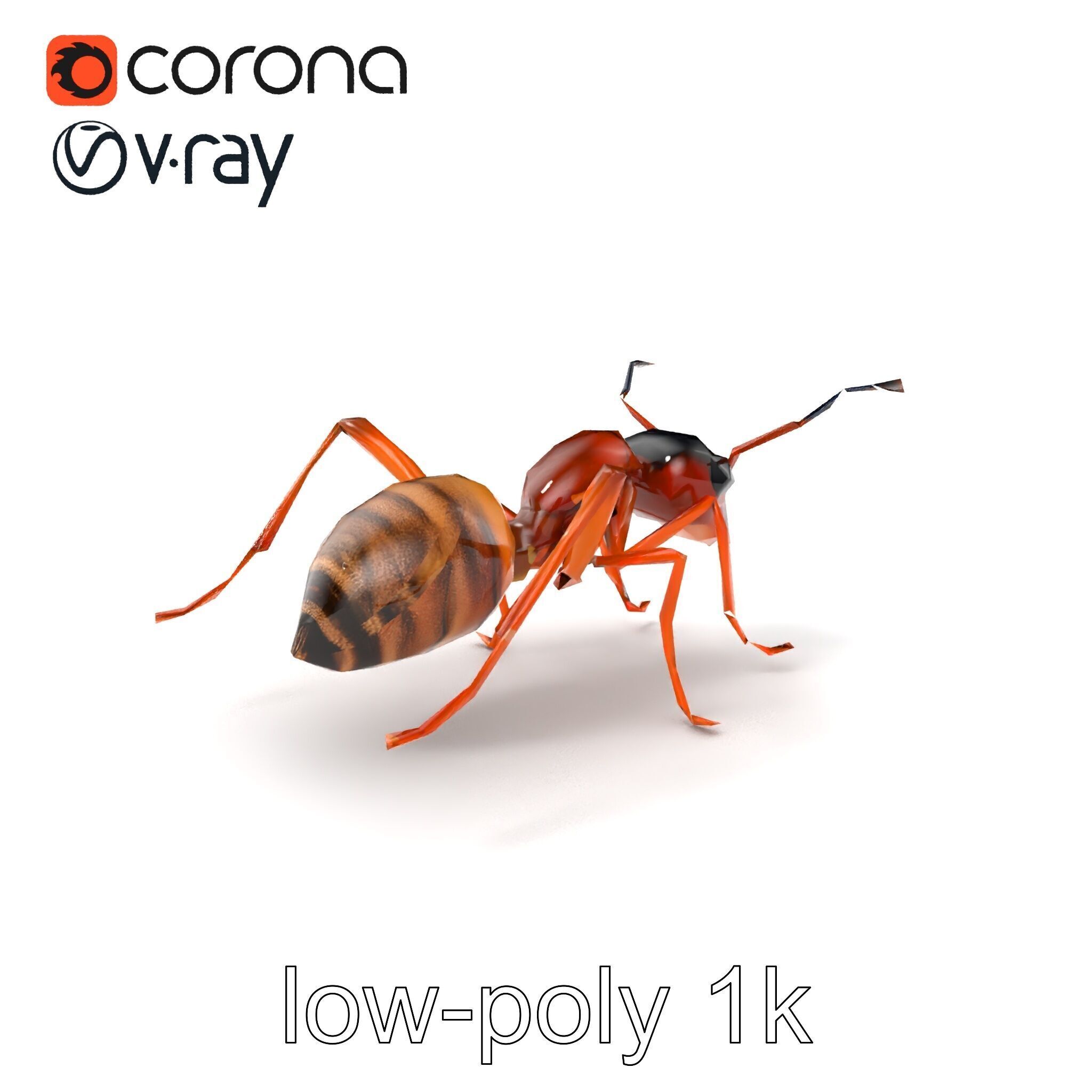 Desert Ant Golden Brown model pack Low-poly 3D model_4