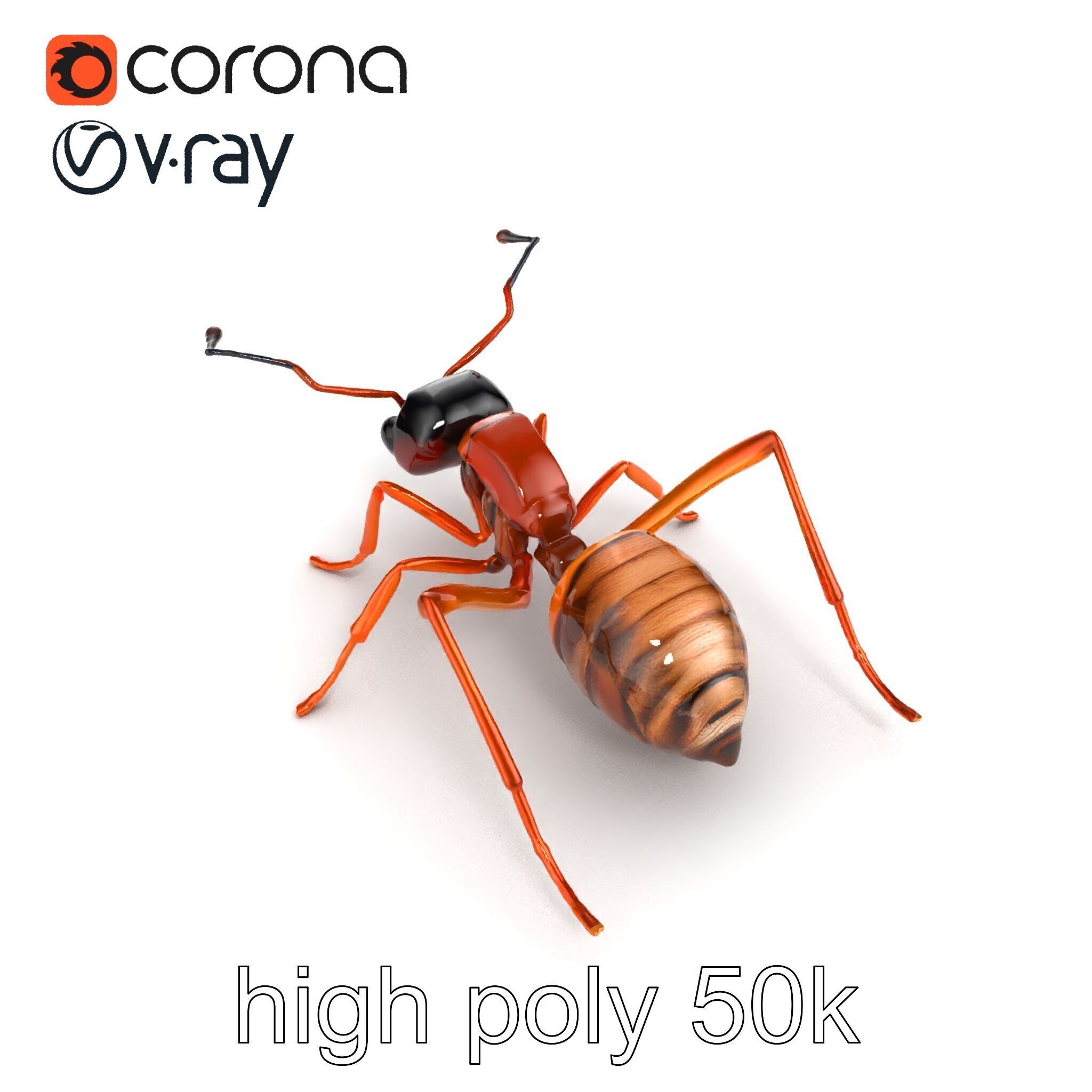 Desert Ant Golden Brown model pack Low-poly 3D model_18