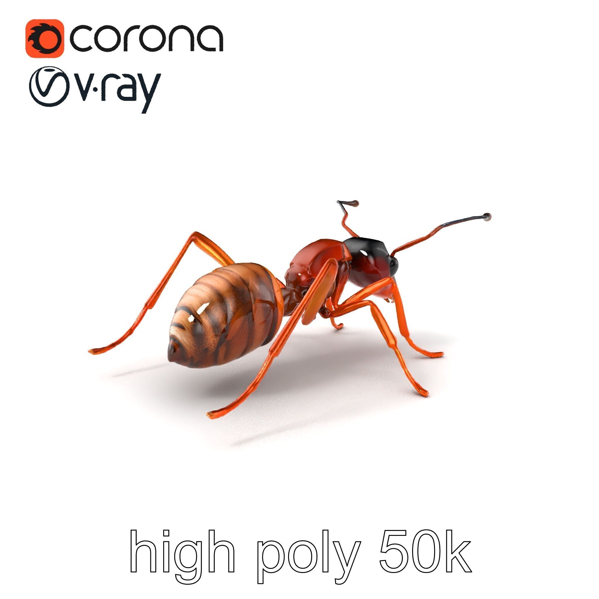 Desert Ant Golden Brown model pack Low-poly 3D model_2