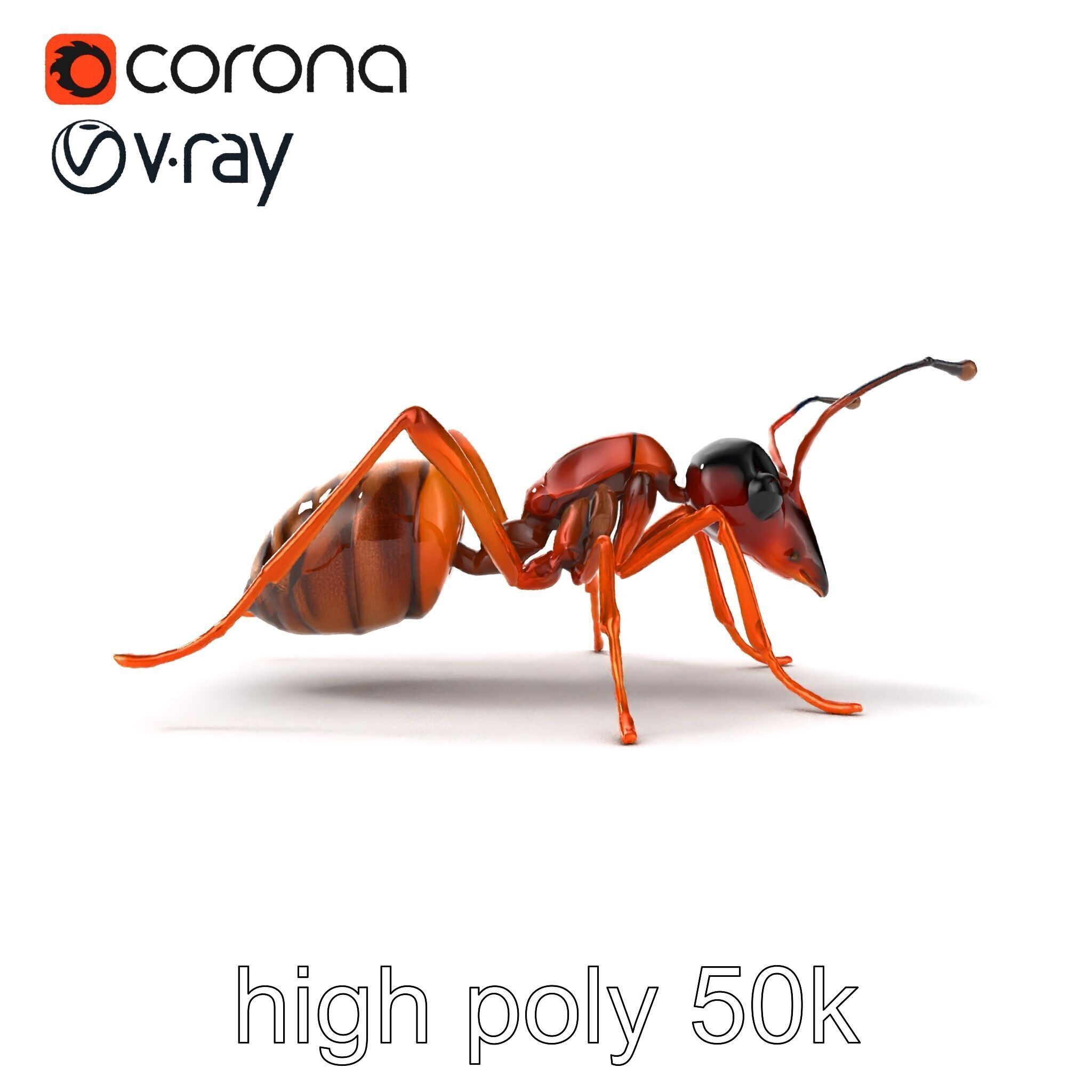 Desert Ant Golden Brown model pack Low-poly 3D model_10