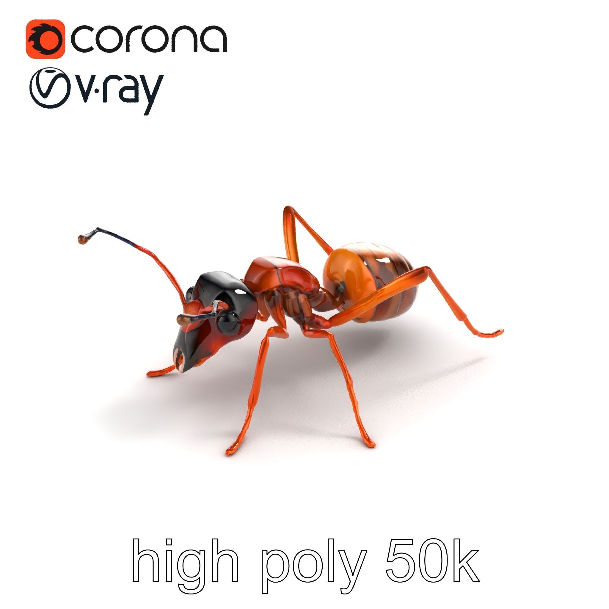 Desert Ant Golden Brown model pack Low-poly 3D model_9