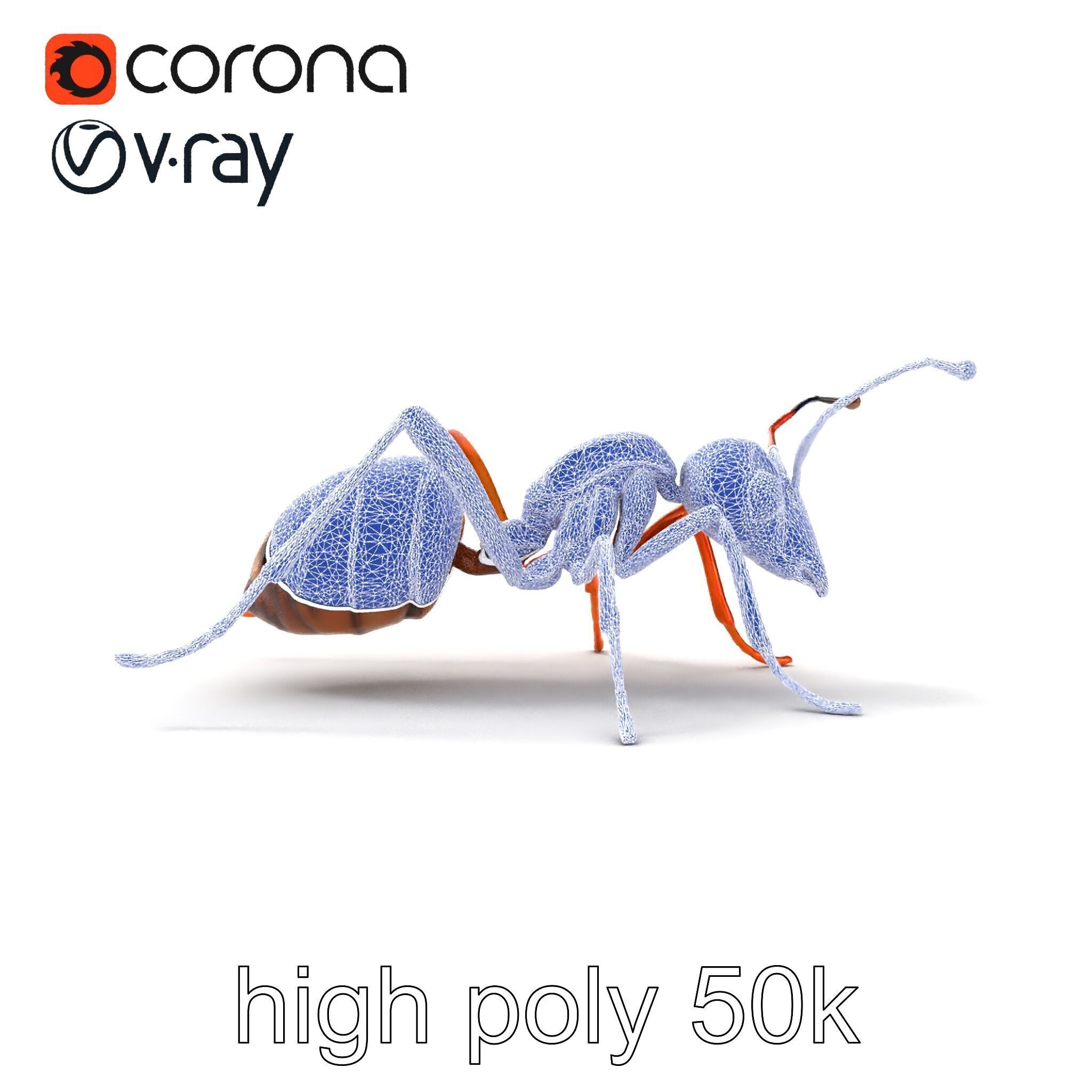 Desert Ant Golden Brown model pack Low-poly 3D model_12