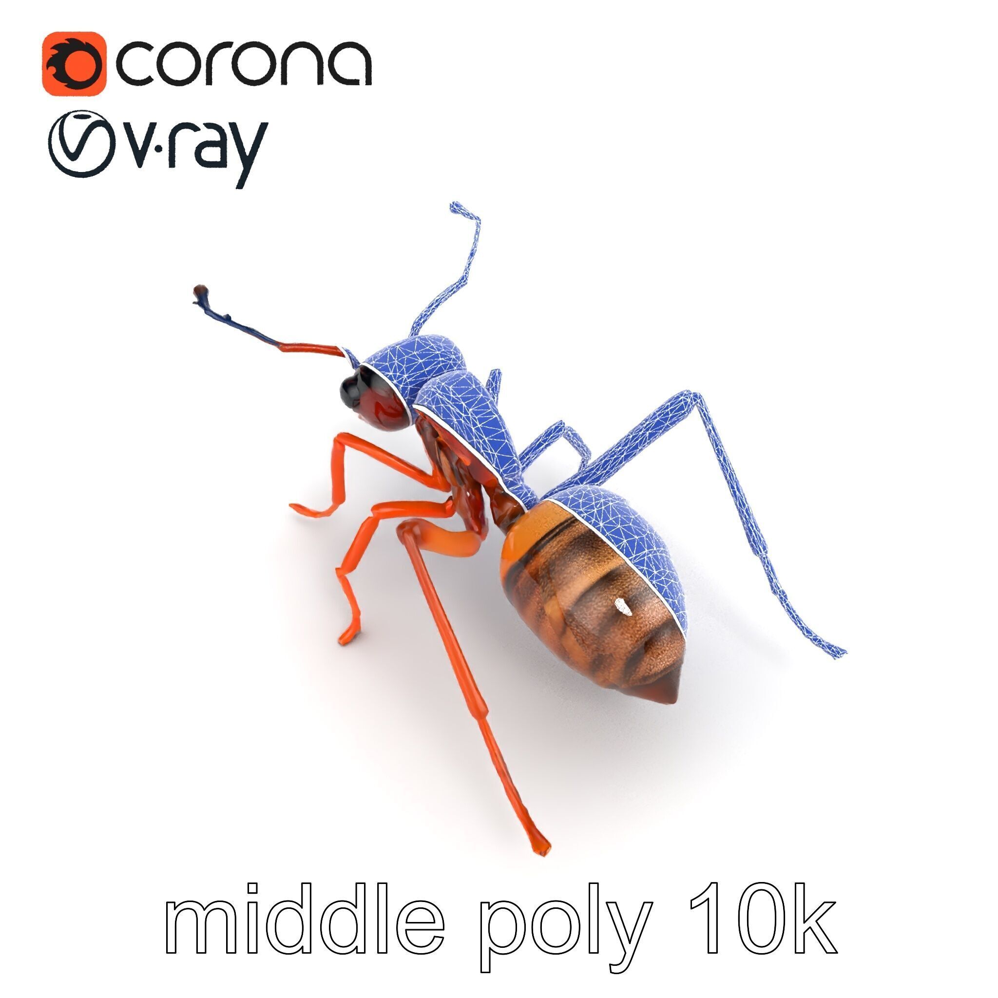 Desert Ant Golden Brown model pack Low-poly 3D model_25