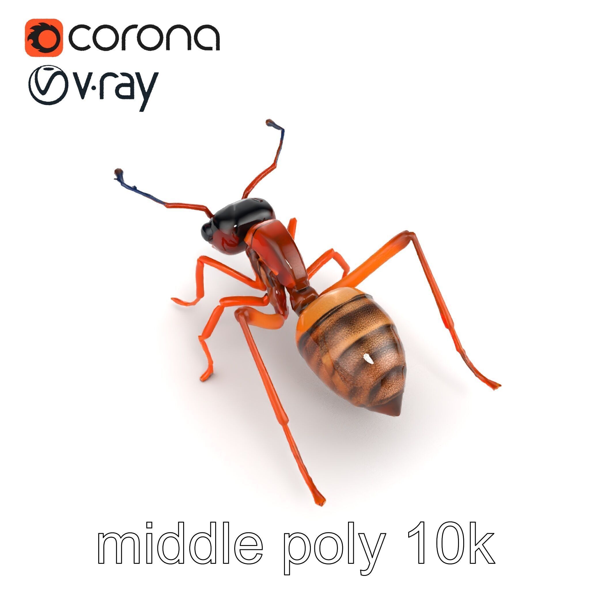Desert Ant Golden Brown model pack Low-poly 3D model_28