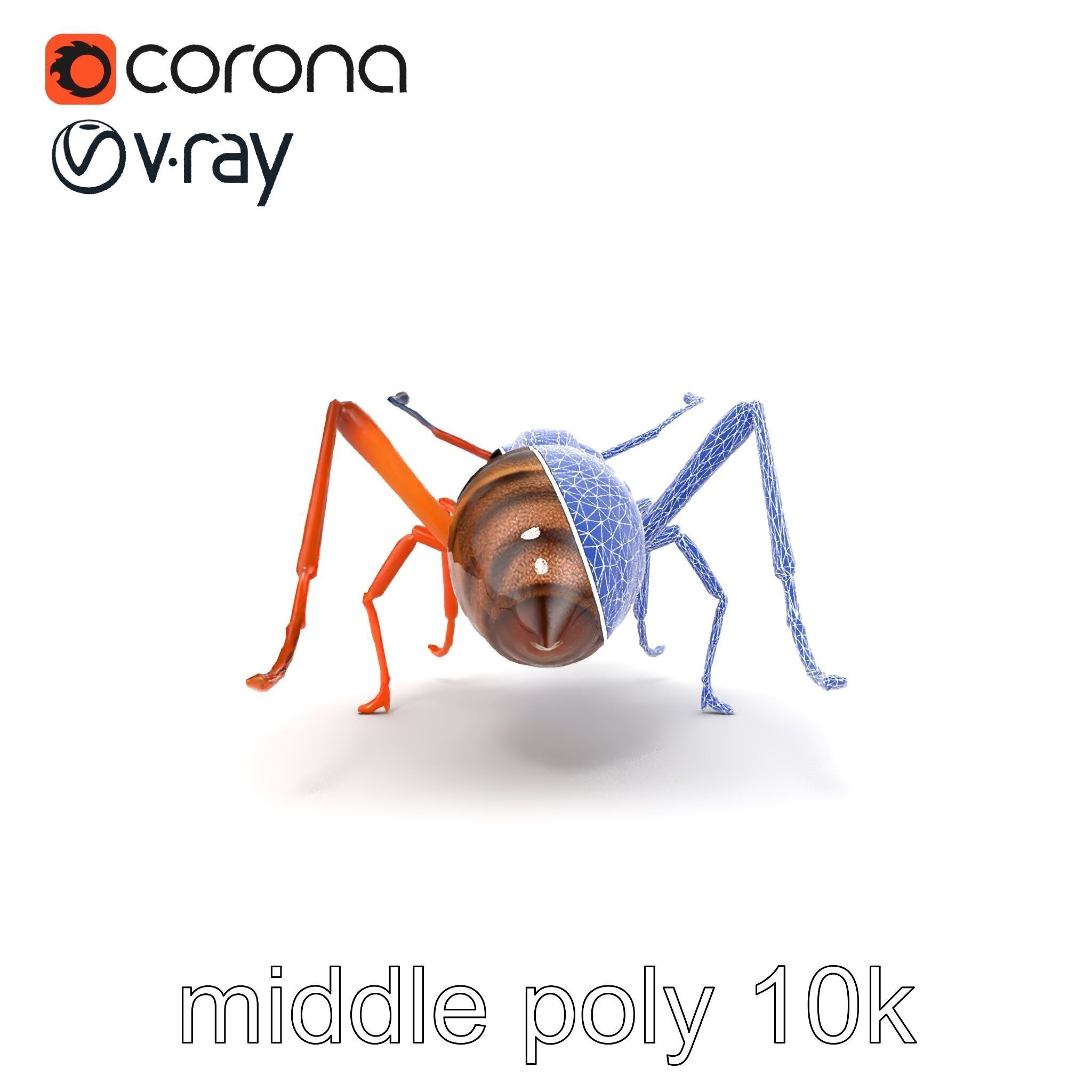 Desert Ant Golden Brown model pack Low-poly 3D model_17