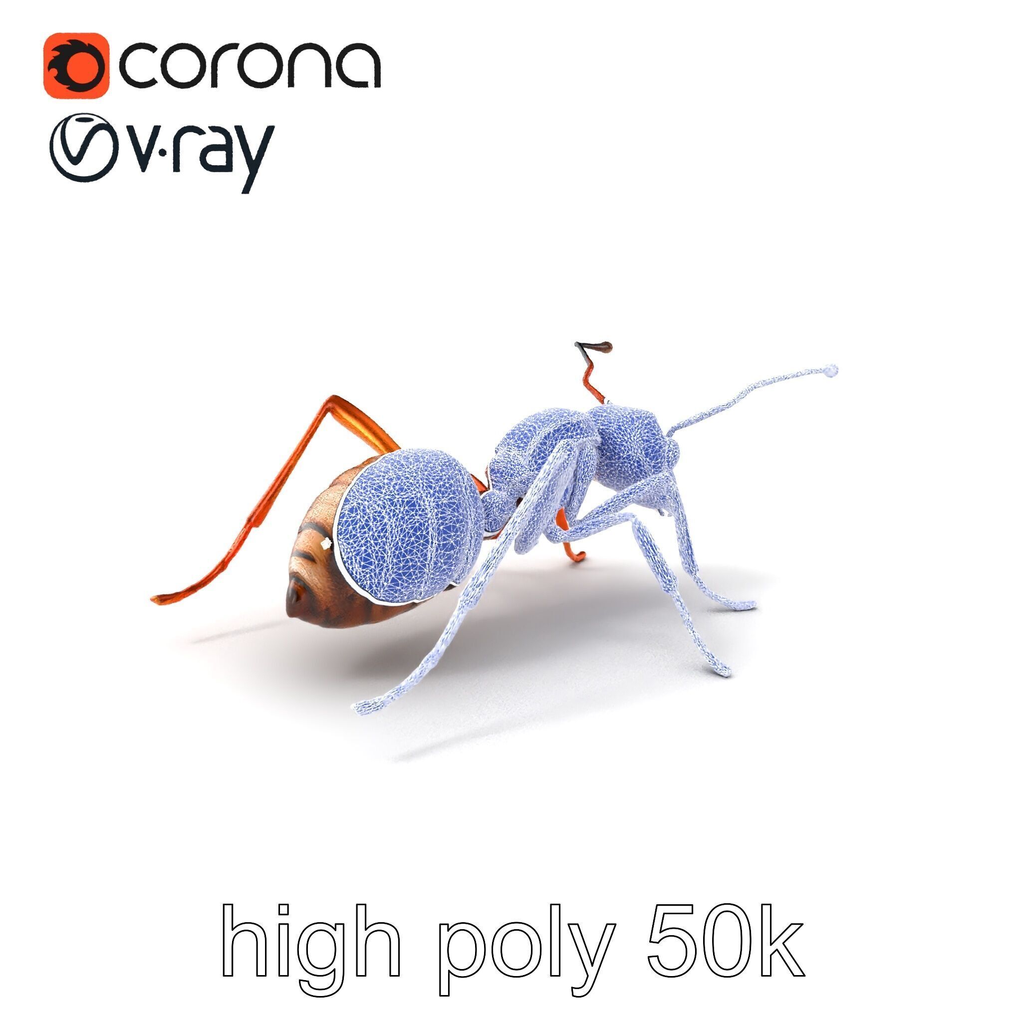 Desert Ant Golden Brown model pack Low-poly 3D model_1