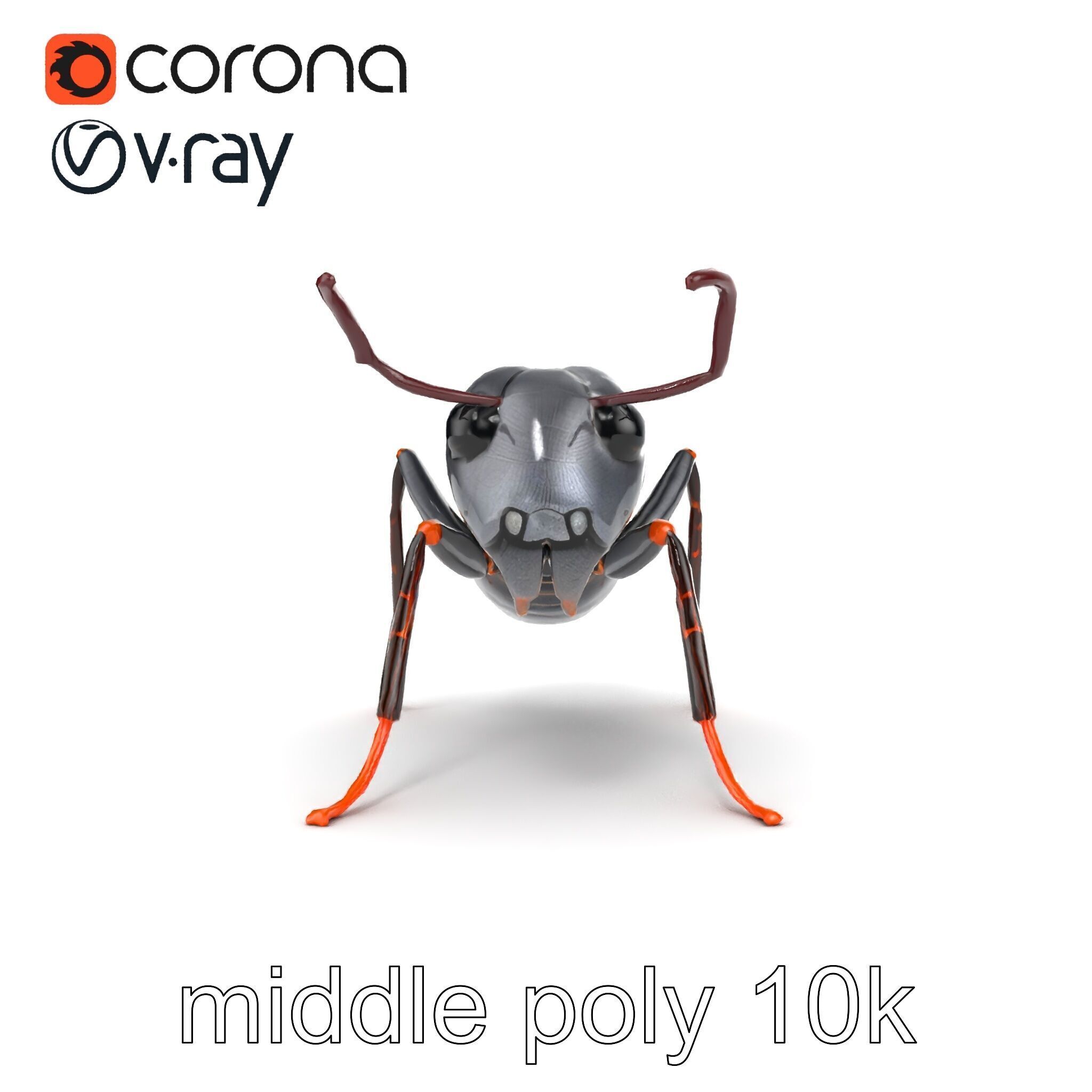 Gray-Black Mountain Ant Detailed Sculpture model pack Low-poly 3D model_28