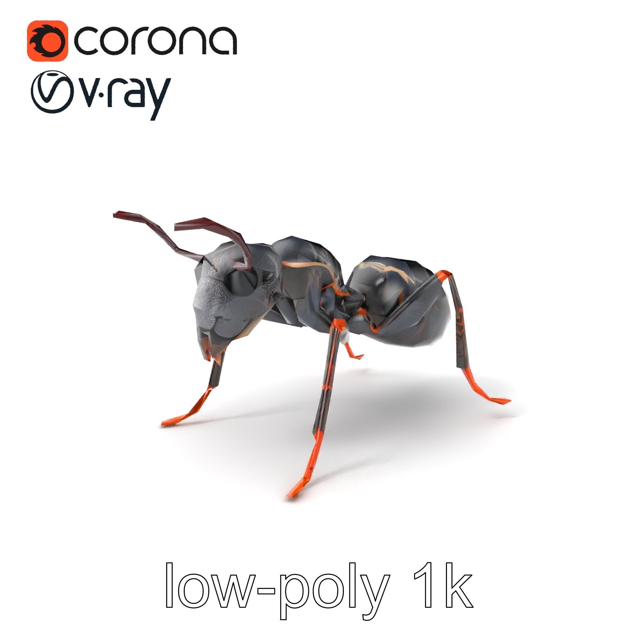 Gray-Black Mountain Ant Detailed Sculpture model pack Low-poly 3D model_4