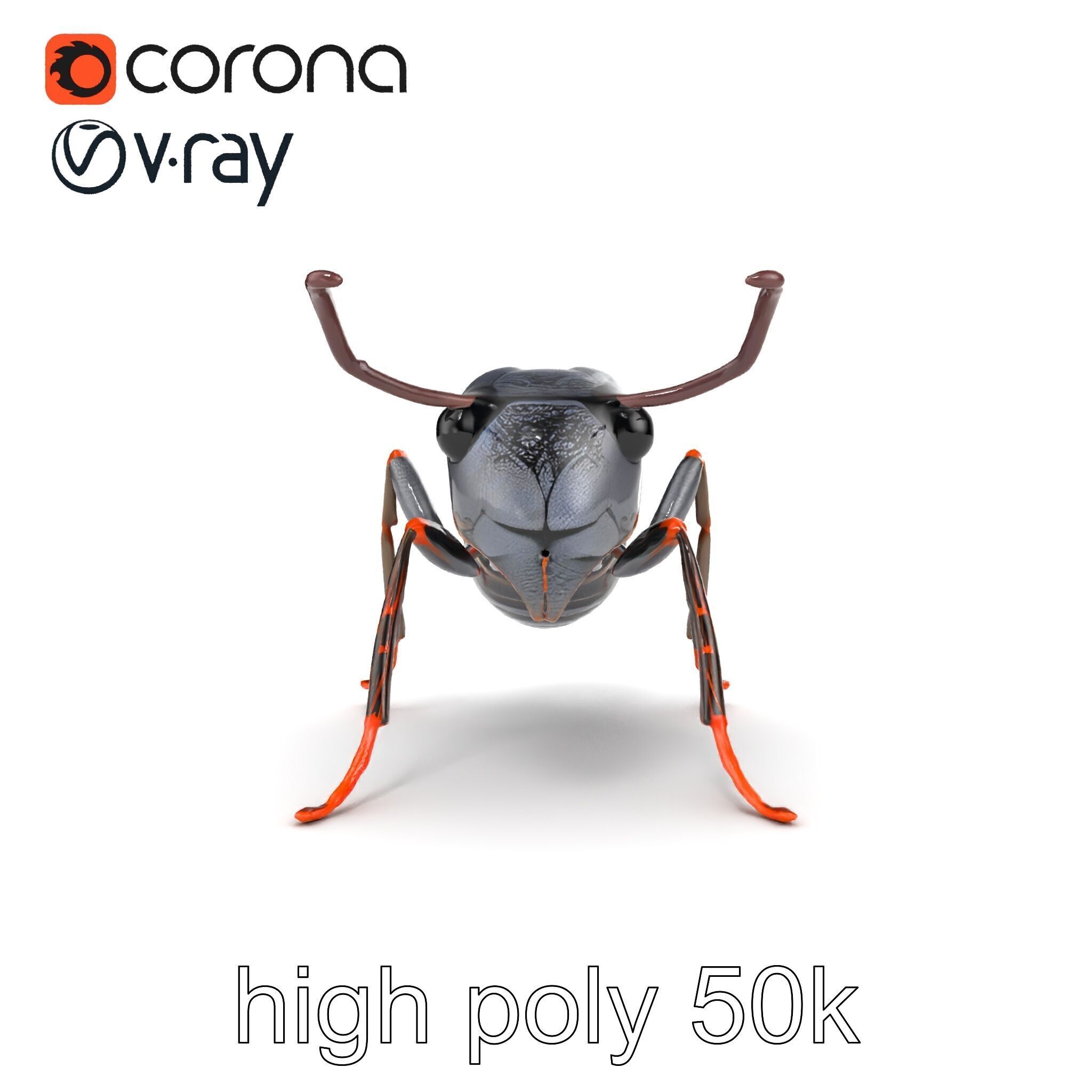 Gray-Black Mountain Ant Detailed Sculpture model pack Low-poly 3D model_10