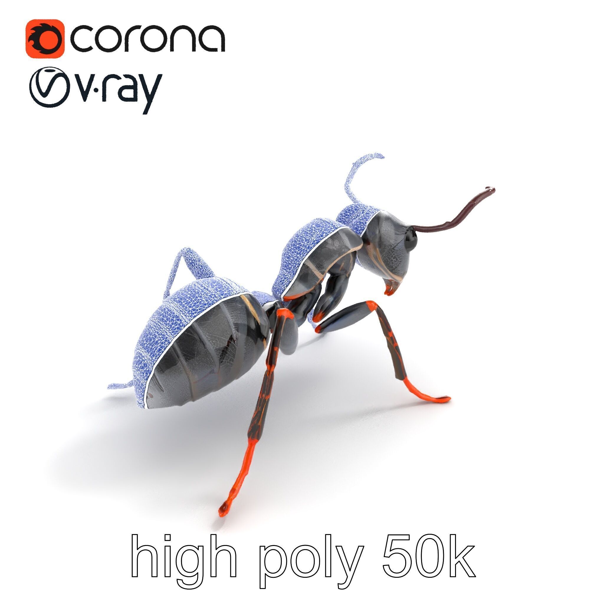 Gray-Black Mountain Ant Detailed Sculpture model pack Low-poly 3D model_26