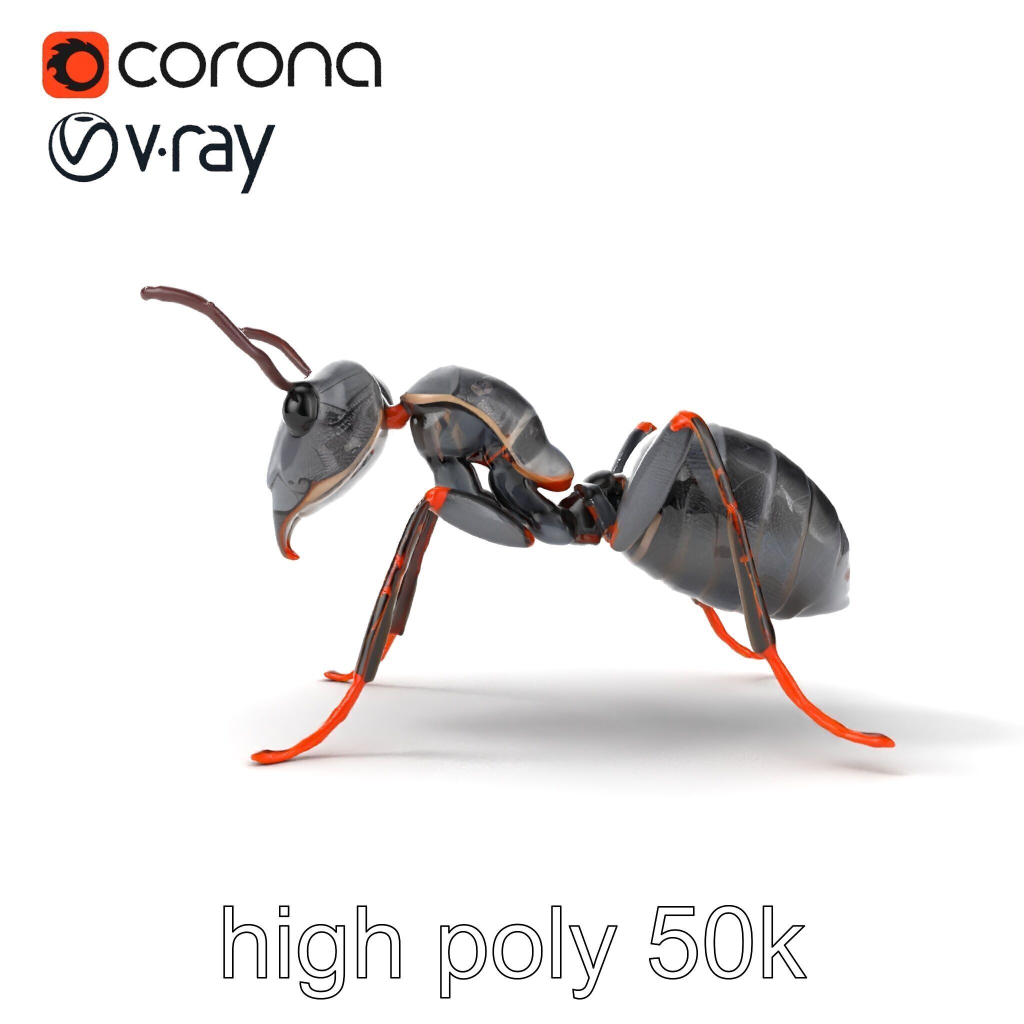 Gray-Black Mountain Ant Detailed Sculpture model pack Low-poly 3D model_16