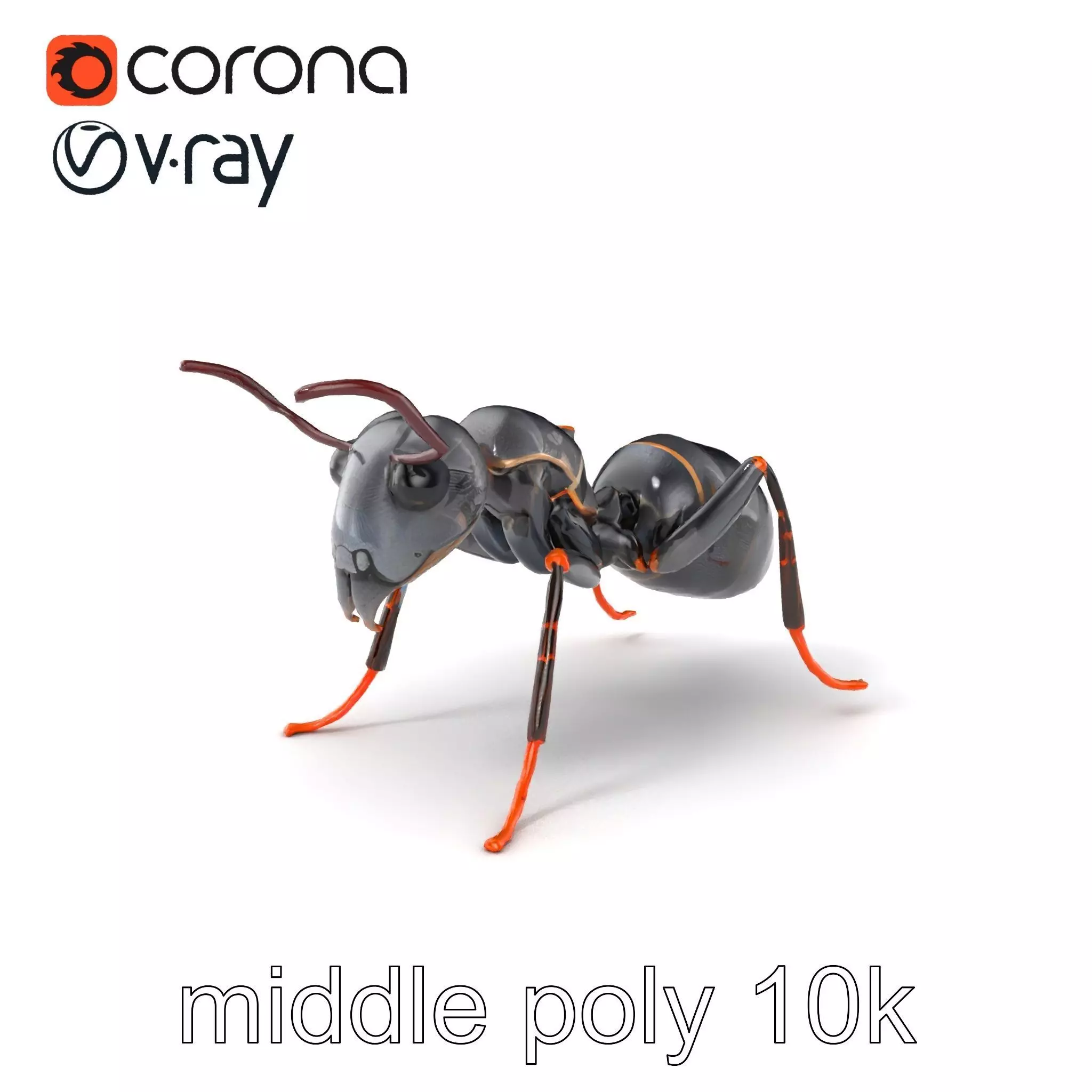 Gray-Black Mountain Ant Detailed Sculpture model pack Low-poly 3D model_0