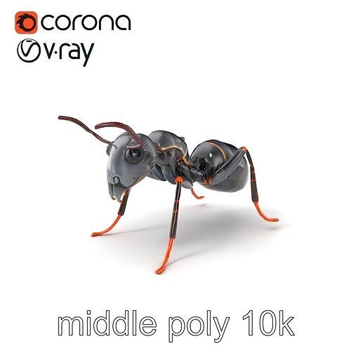 Gray-Black Mountain Ant Detailed Sculpture model pack Low-poly 3D model