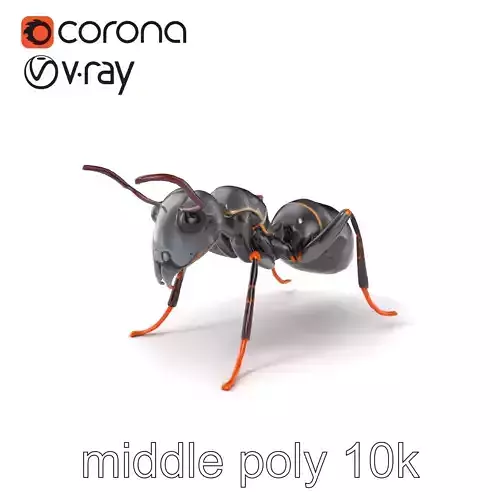 Gray-Black Mountain Ant Detailed Sculpture model pack Low-poly 3D model