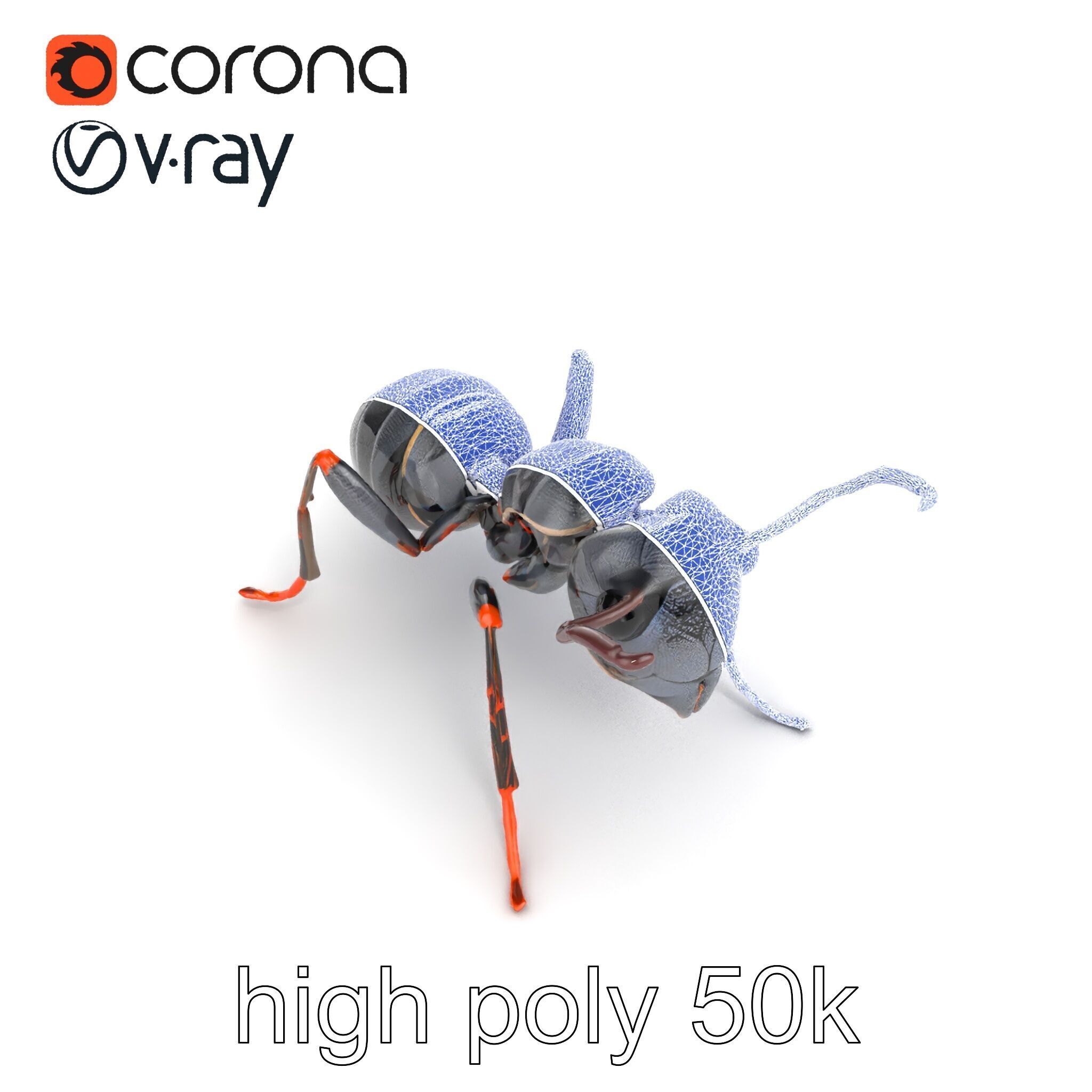Gray-Black Mountain Ant Detailed Sculpture model pack Low-poly 3D model_30
