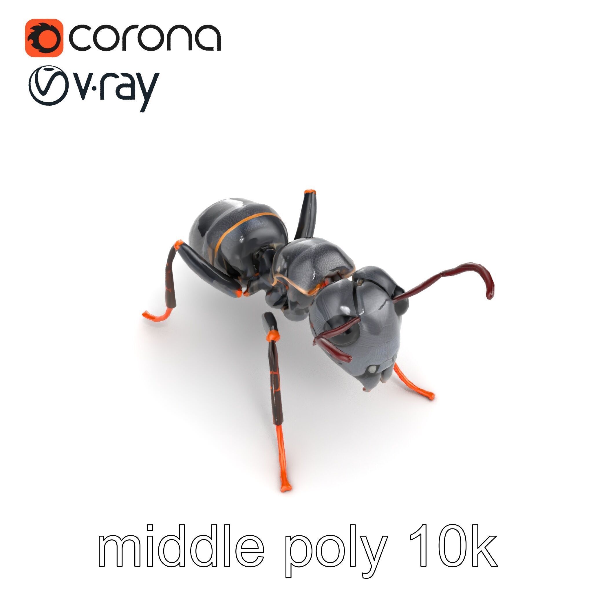Gray-Black Mountain Ant Detailed Sculpture model pack Low-poly 3D model_15
