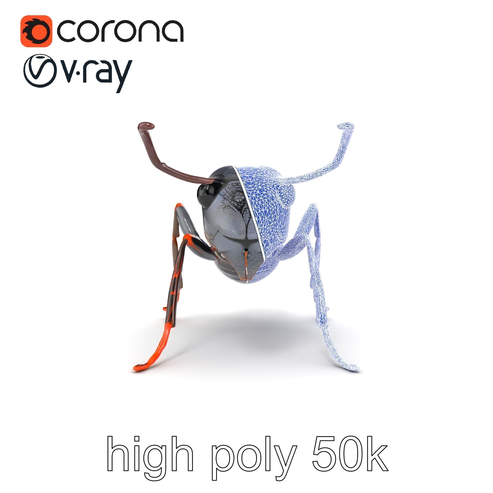 Gray-Black Mountain Ant Detailed Sculpture model pack Low-poly 3D model_29