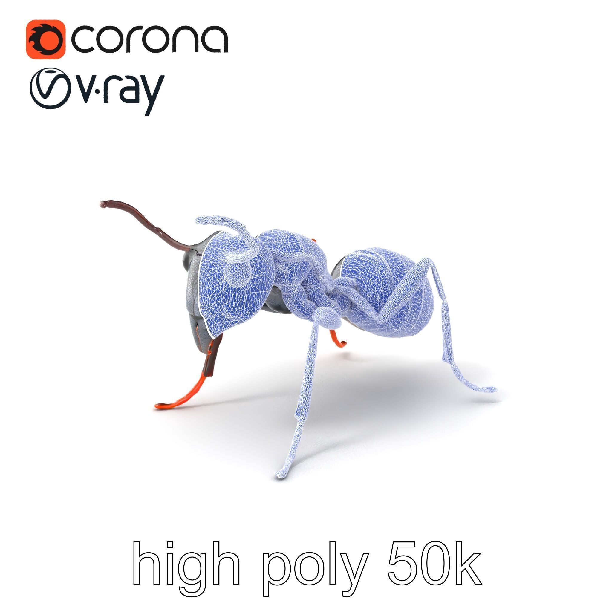 Gray-Black Mountain Ant Detailed Sculpture model pack Low-poly 3D model_1
