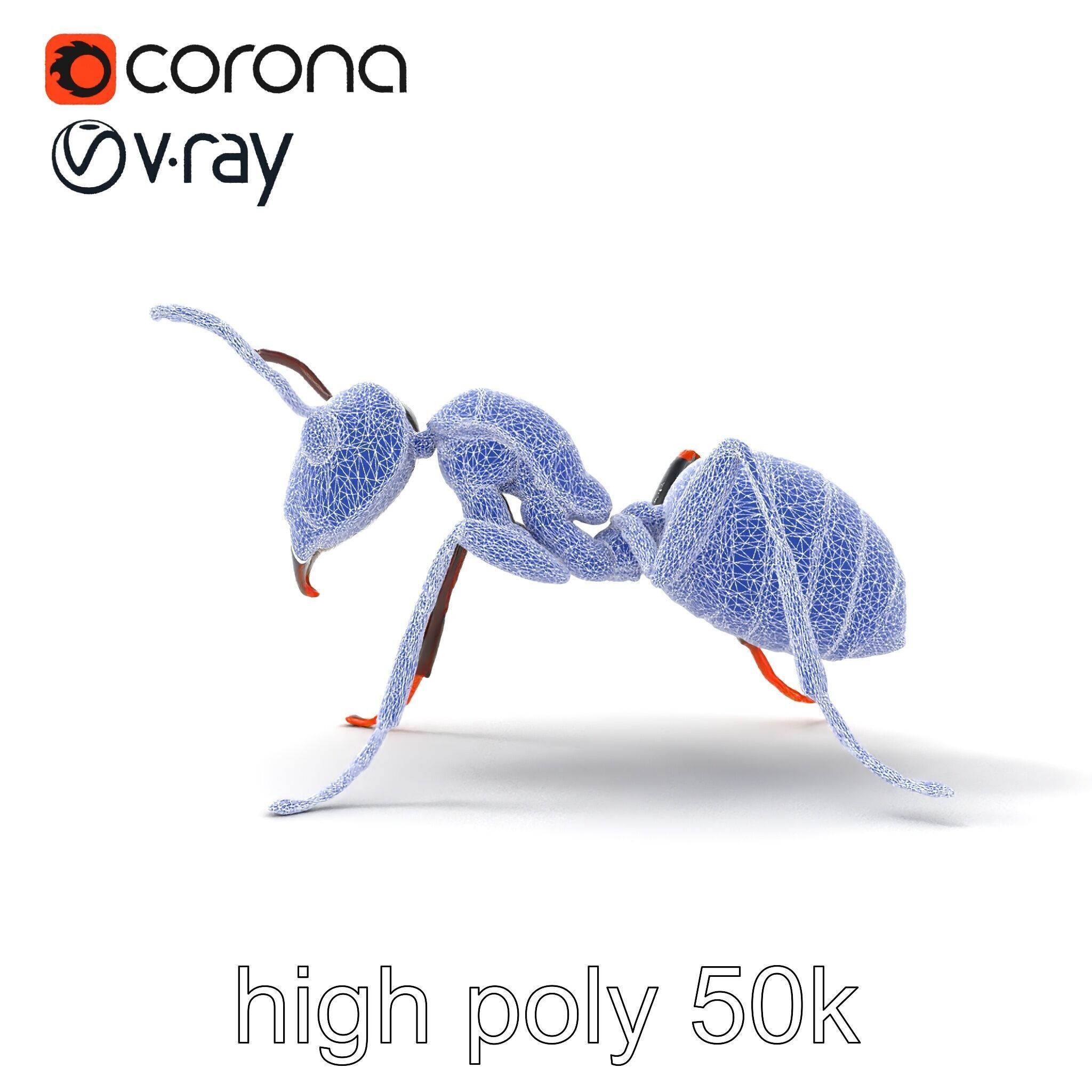 Gray-Black Mountain Ant Detailed Sculpture model pack Low-poly 3D model_27