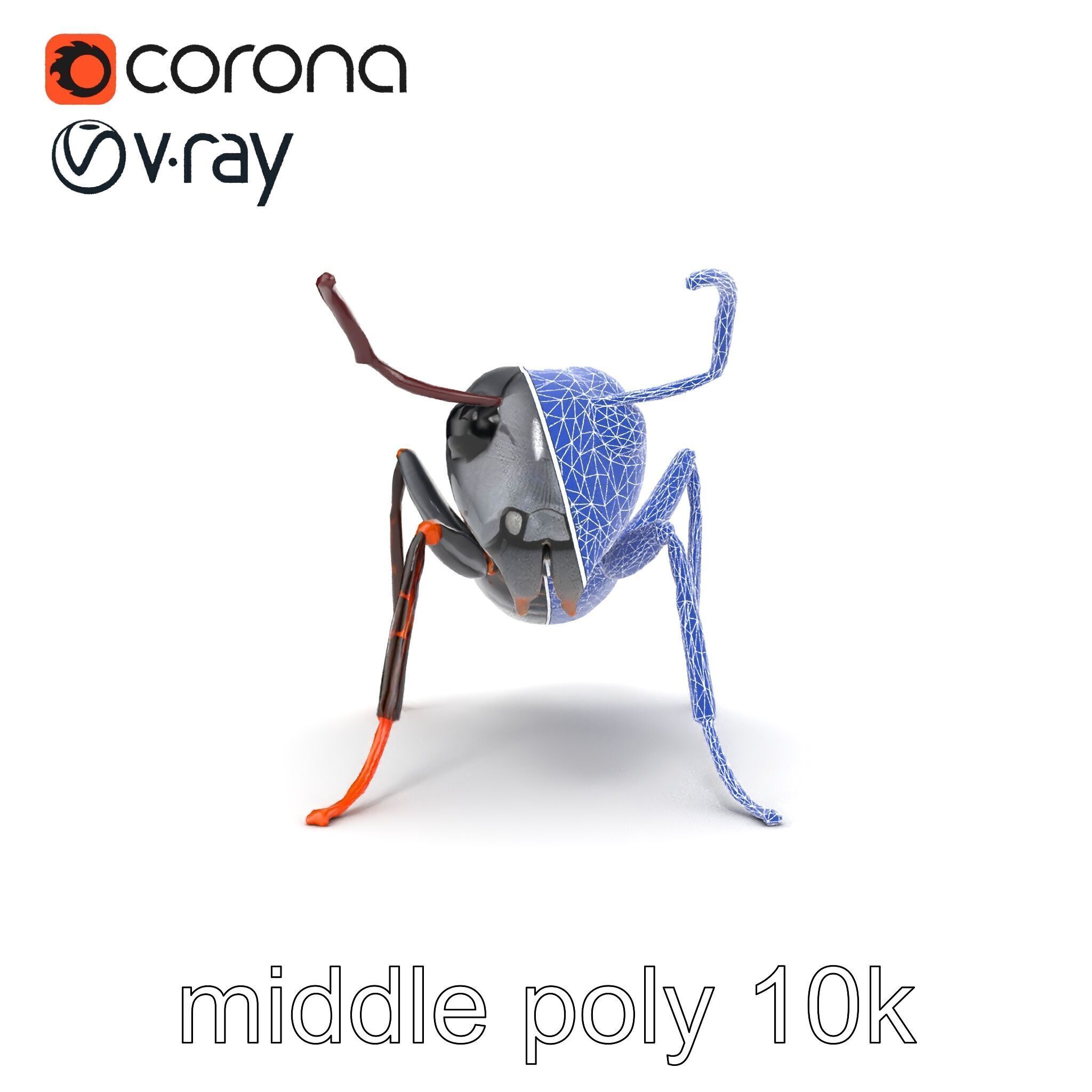 Gray-Black Mountain Ant Detailed Sculpture model pack Low-poly 3D model_17