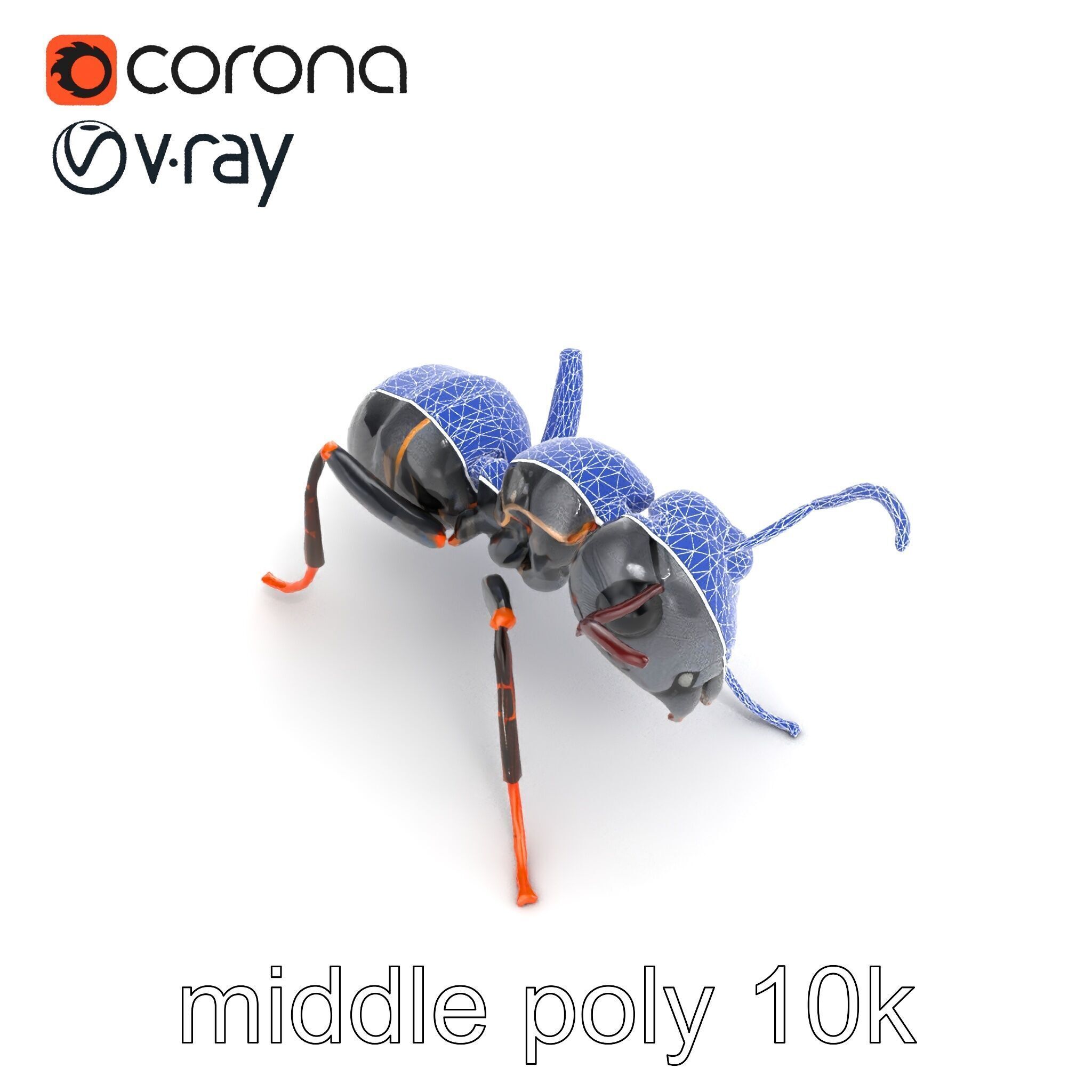 Gray-Black Mountain Ant Detailed Sculpture model pack Low-poly 3D model_12