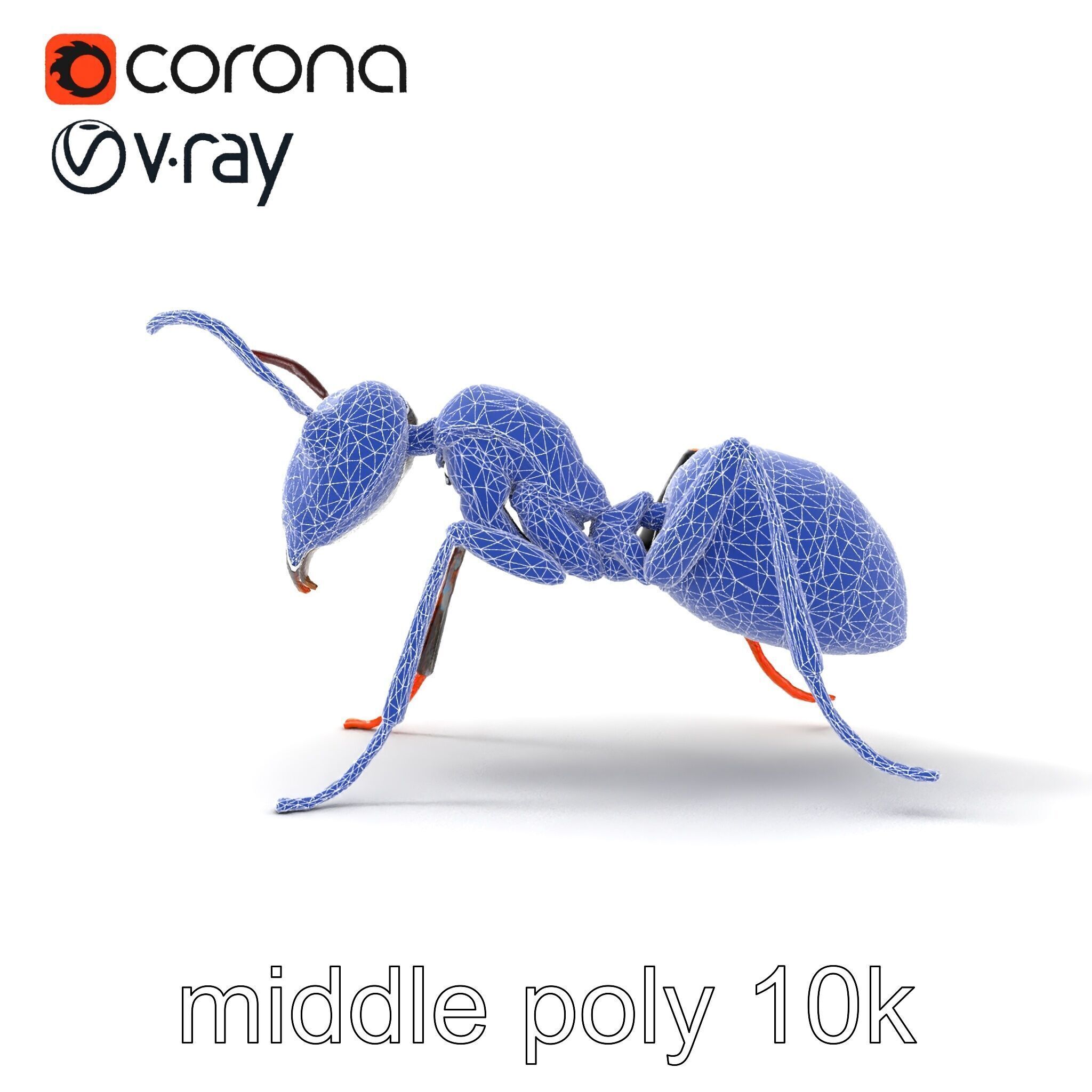 Gray-Black Mountain Ant Detailed Sculpture model pack Low-poly 3D model_20