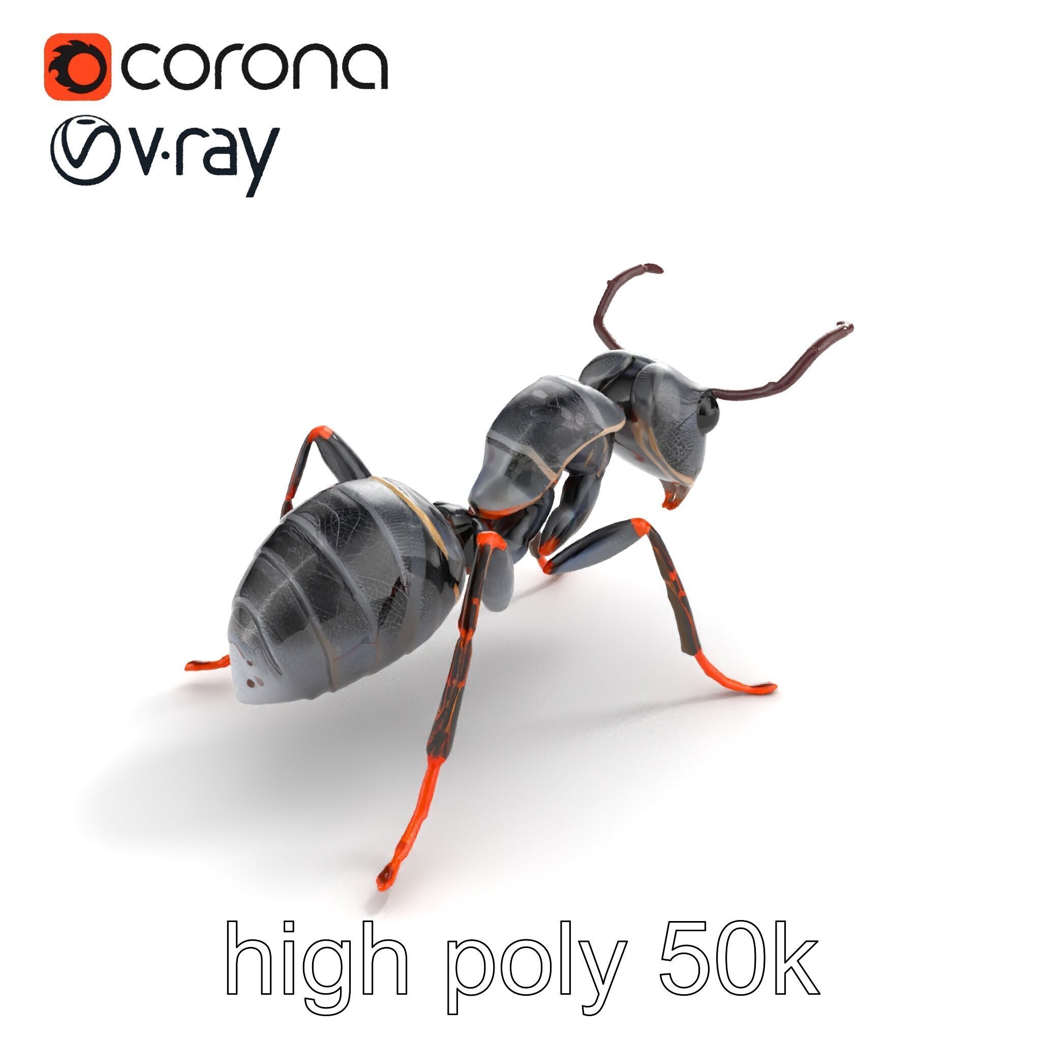 Gray-Black Mountain Ant Detailed Sculpture model pack Low-poly 3D model_9
