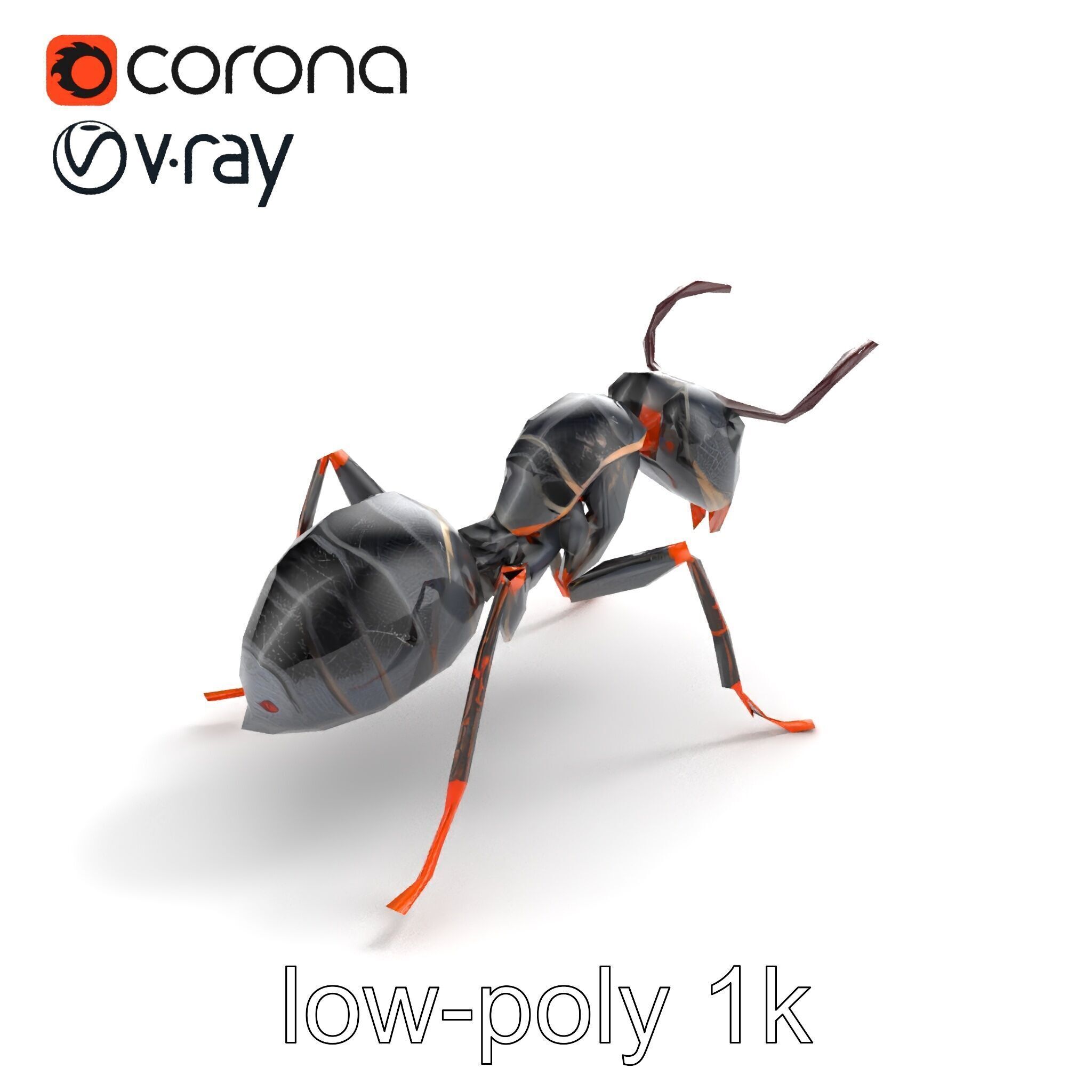 Gray-Black Mountain Ant Detailed Sculpture model pack Low-poly 3D model_8