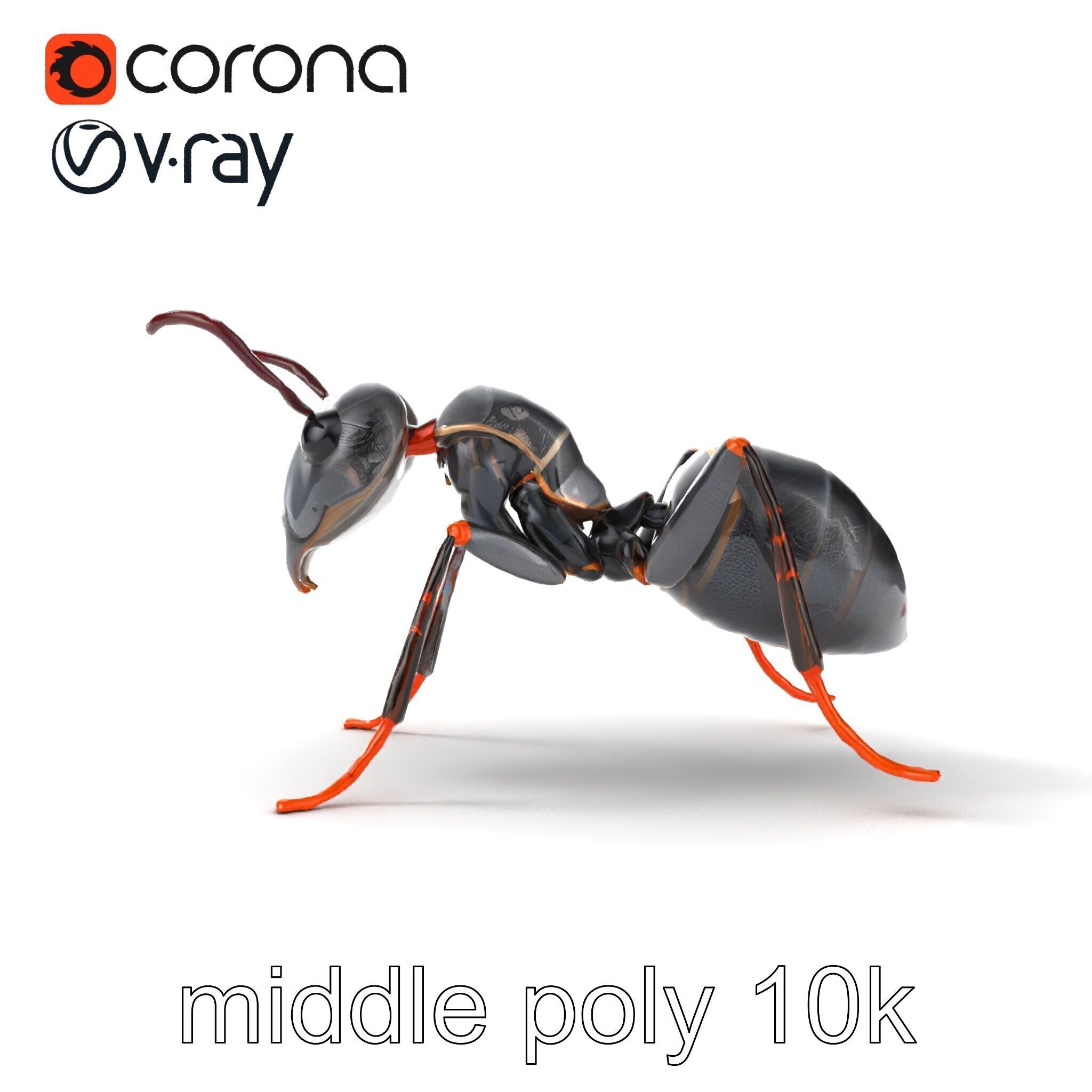 Gray-Black Mountain Ant Detailed Sculpture model pack Low-poly 3D model_11