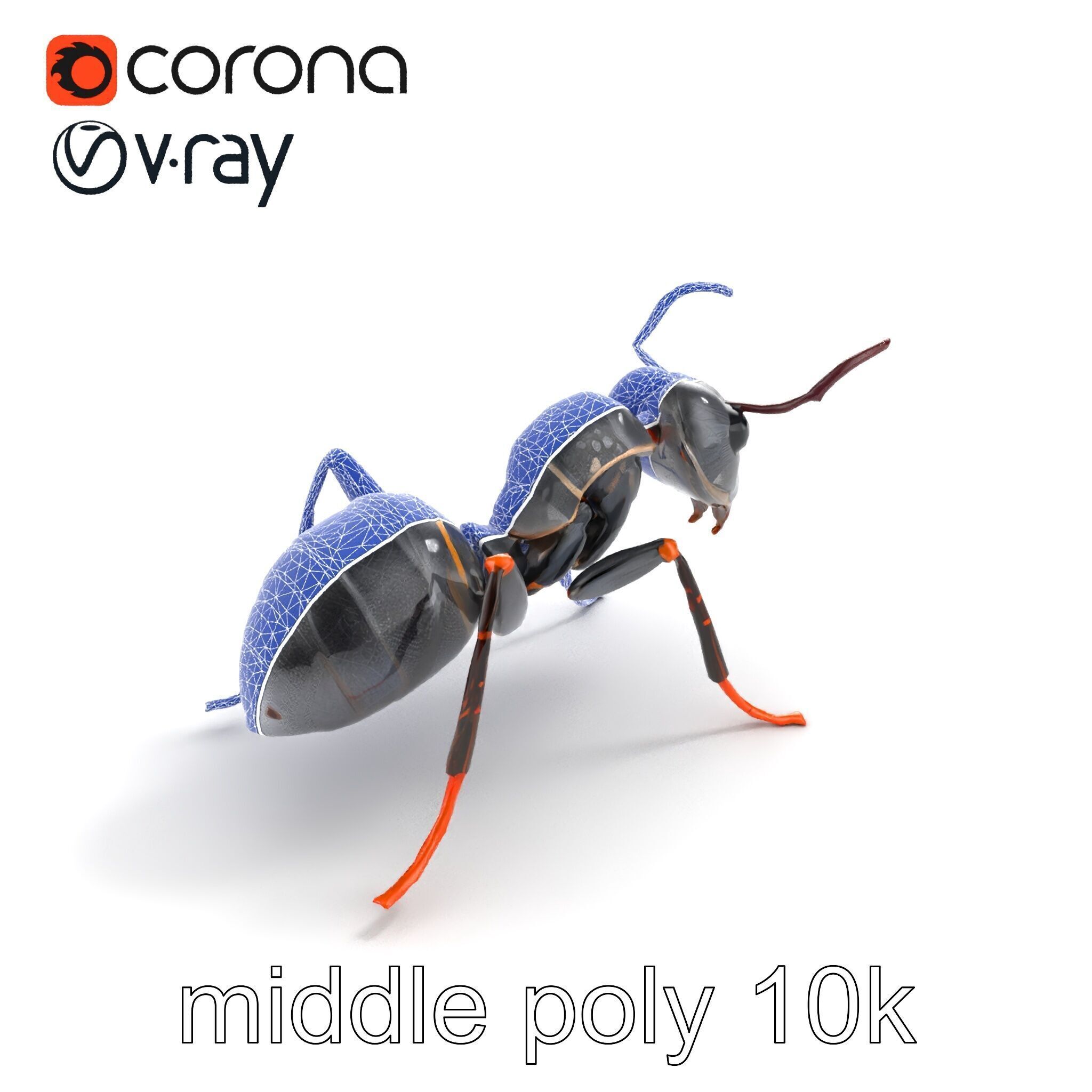 Gray-Black Mountain Ant Detailed Sculpture model pack Low-poly 3D model_22