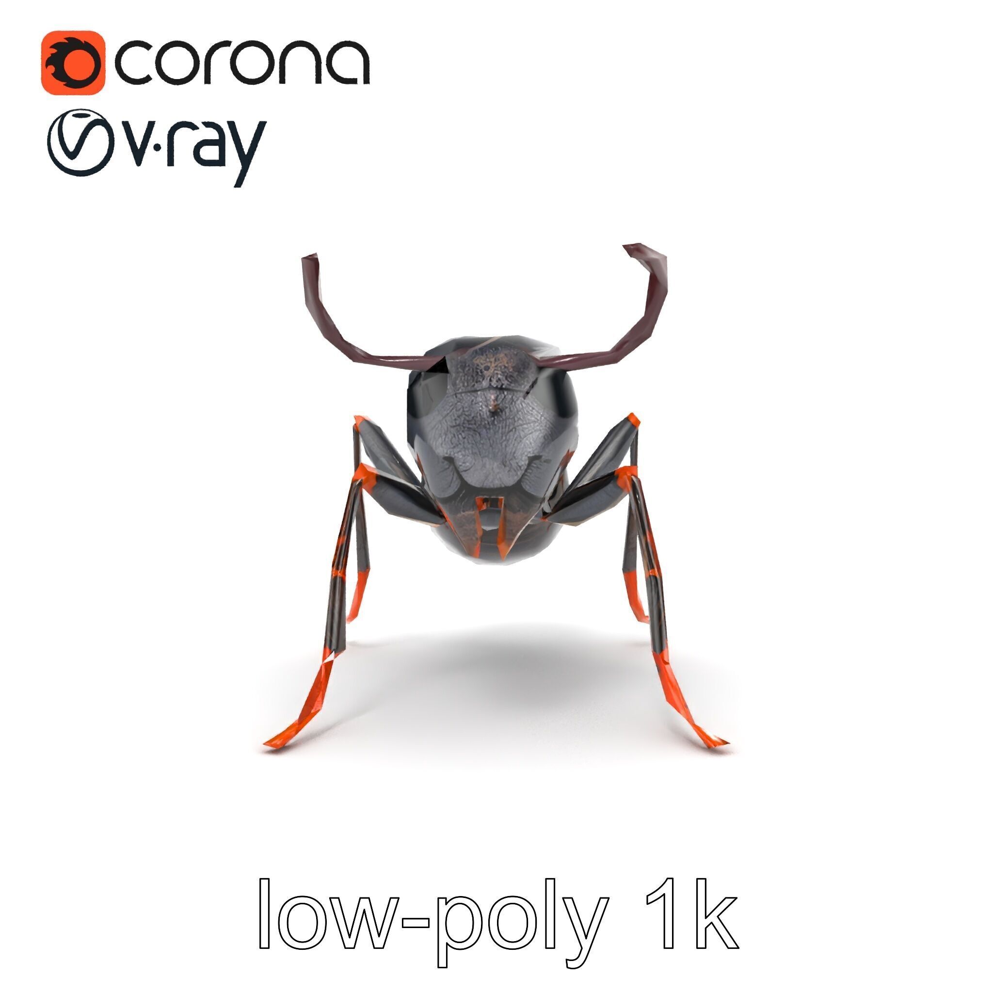 Gray-Black Mountain Ant Detailed Sculpture model pack Low-poly 3D model_13