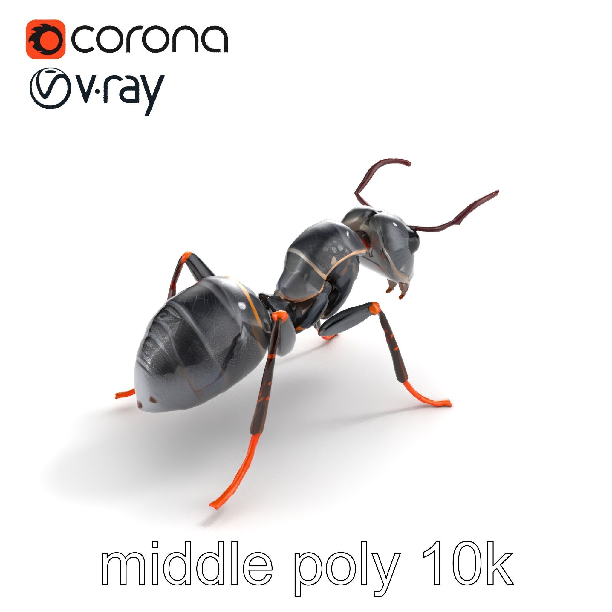 Gray-Black Mountain Ant Detailed Sculpture model pack Low-poly 3D model_7